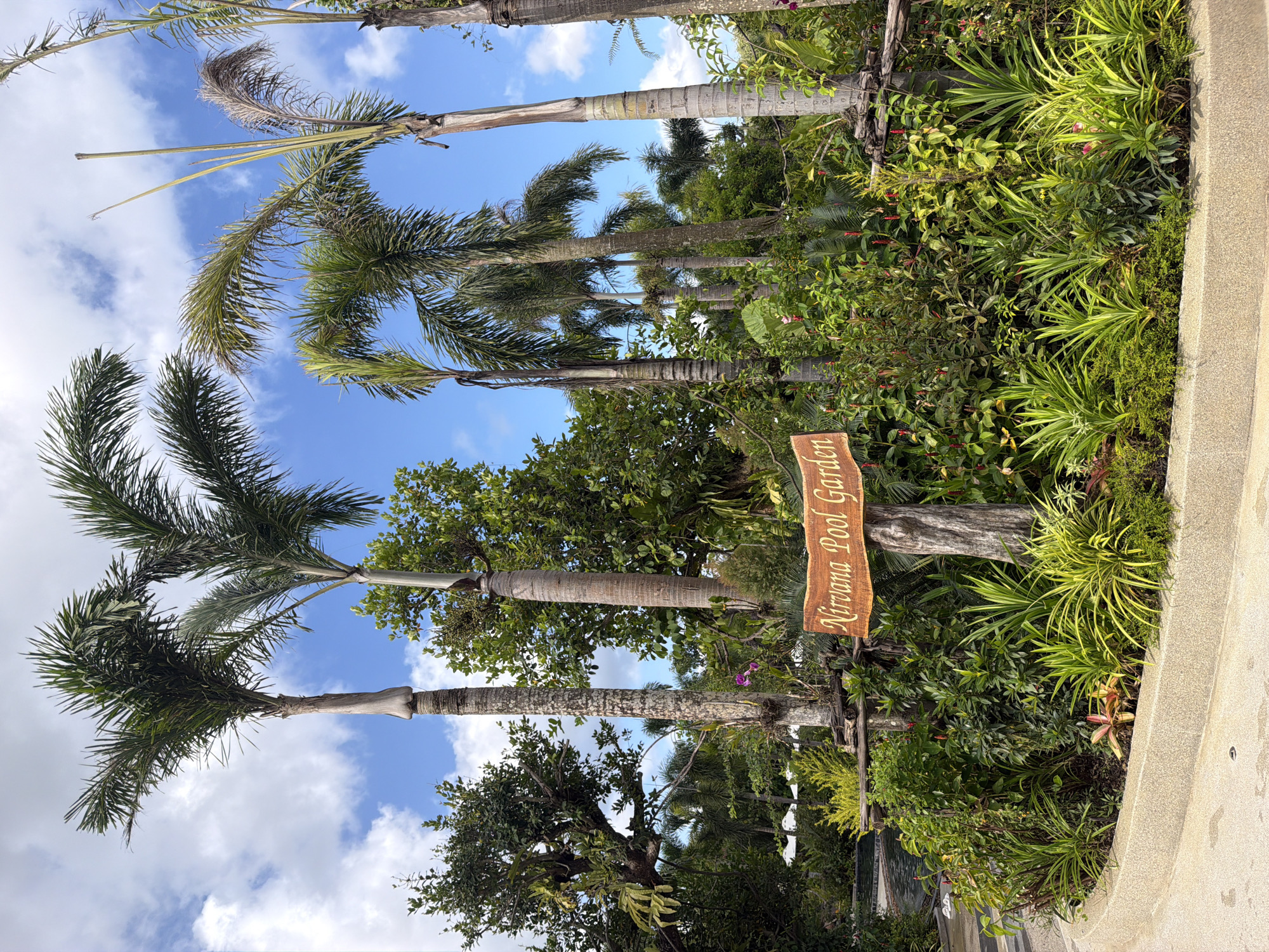 Nirvana Pool Garden: lily pads, boats, and hammocks in Khlong Khian