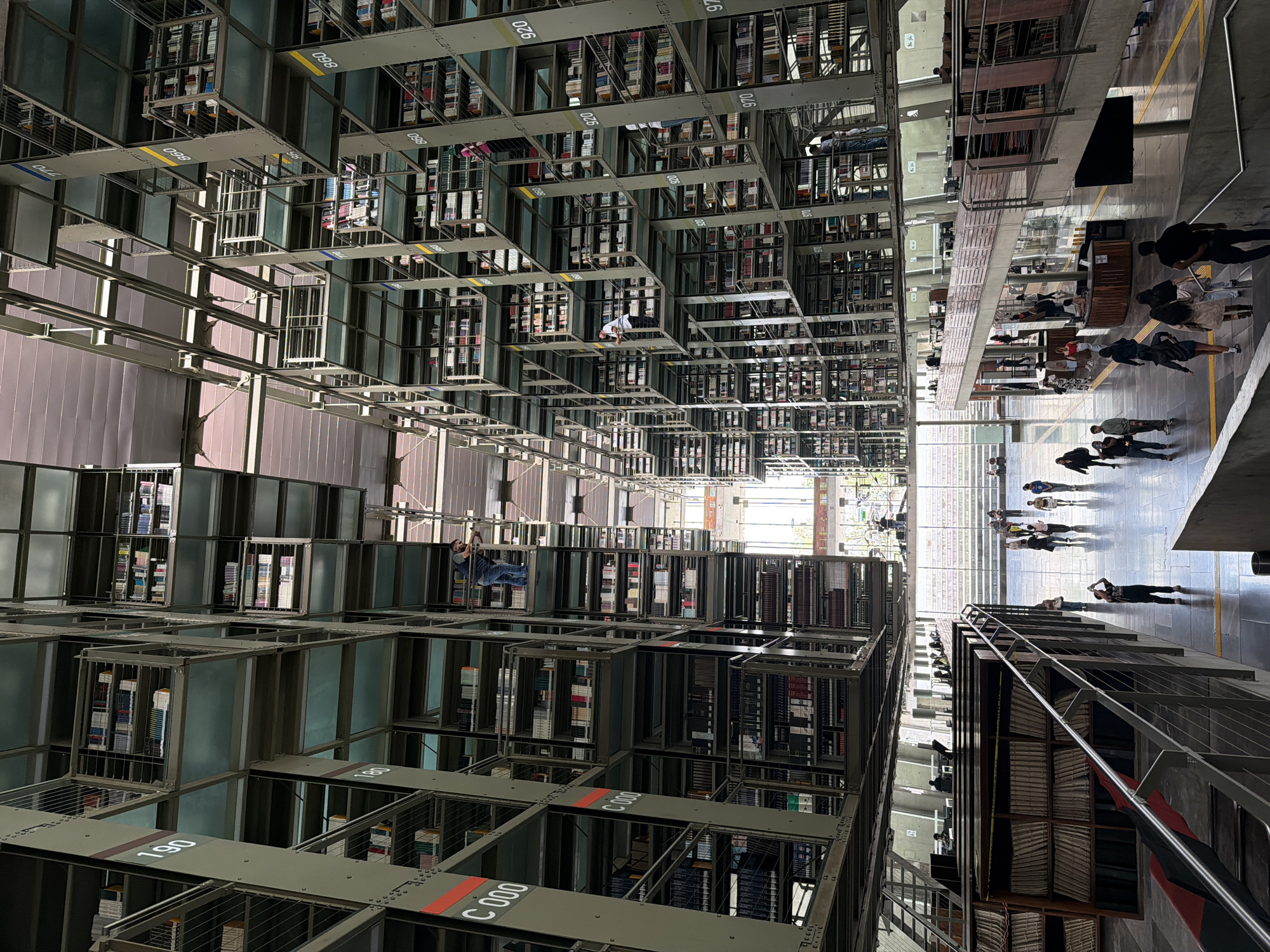 Inside Vasconcelos Library, whale skeleton and soaring book stacks