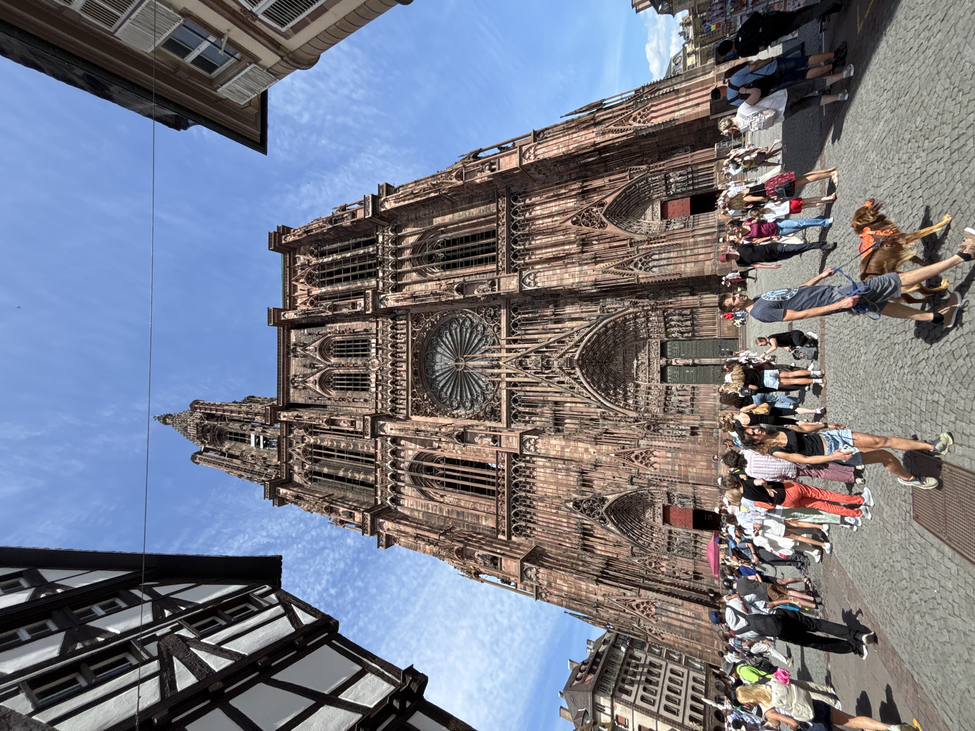 Tourist documents Strasbourg cathedral, historic quarter, and Palestinian demonstration