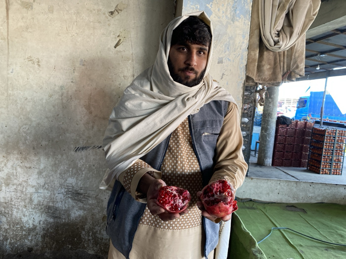 Fruit workers pack produce at Kandahar markets