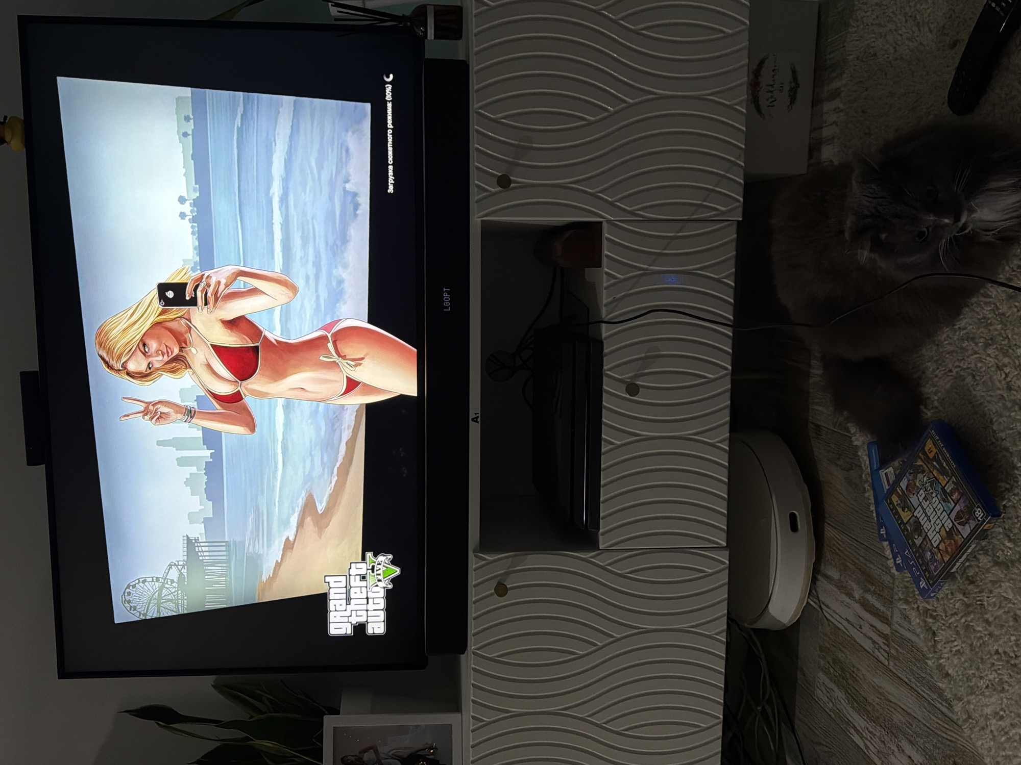 Evening gaming session with cat and selfies in Russian home