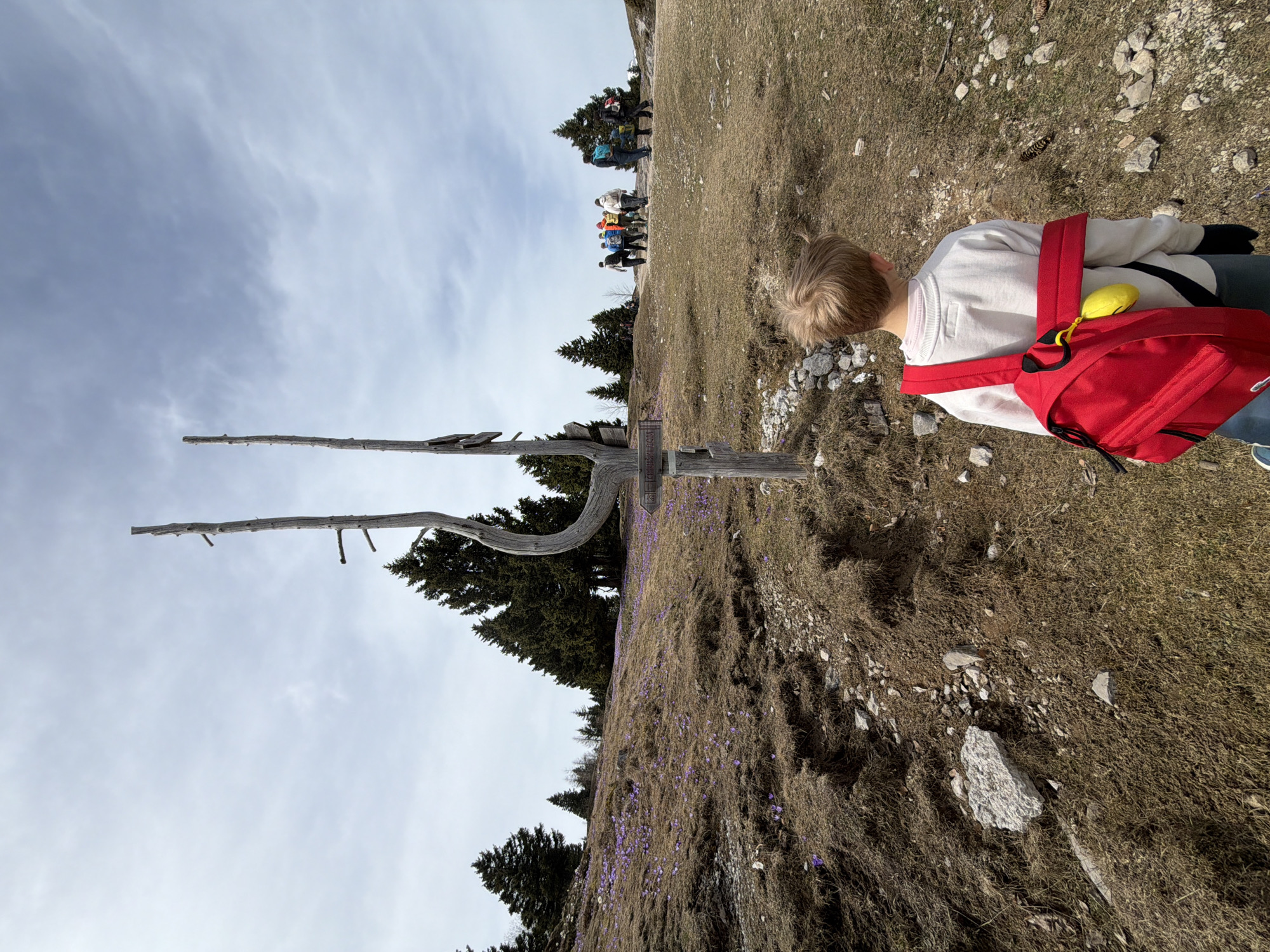 Child hikes flowering mountain slopes near Kamnik, Slovenia