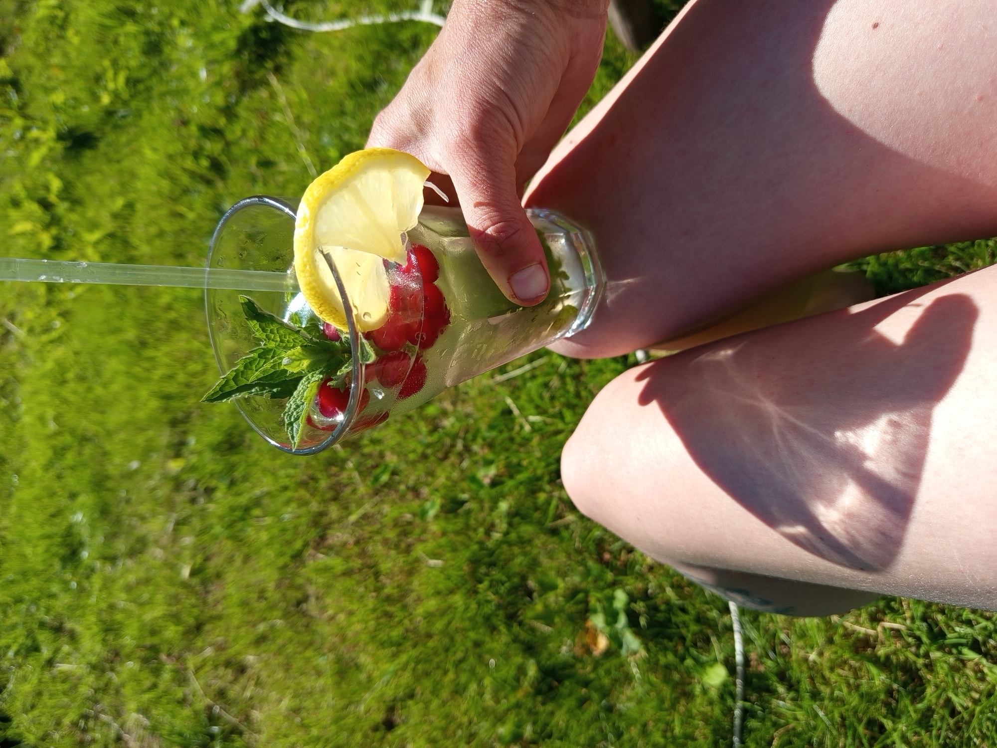 Lazy summer afternoon in a Russian garden, drinks and all
