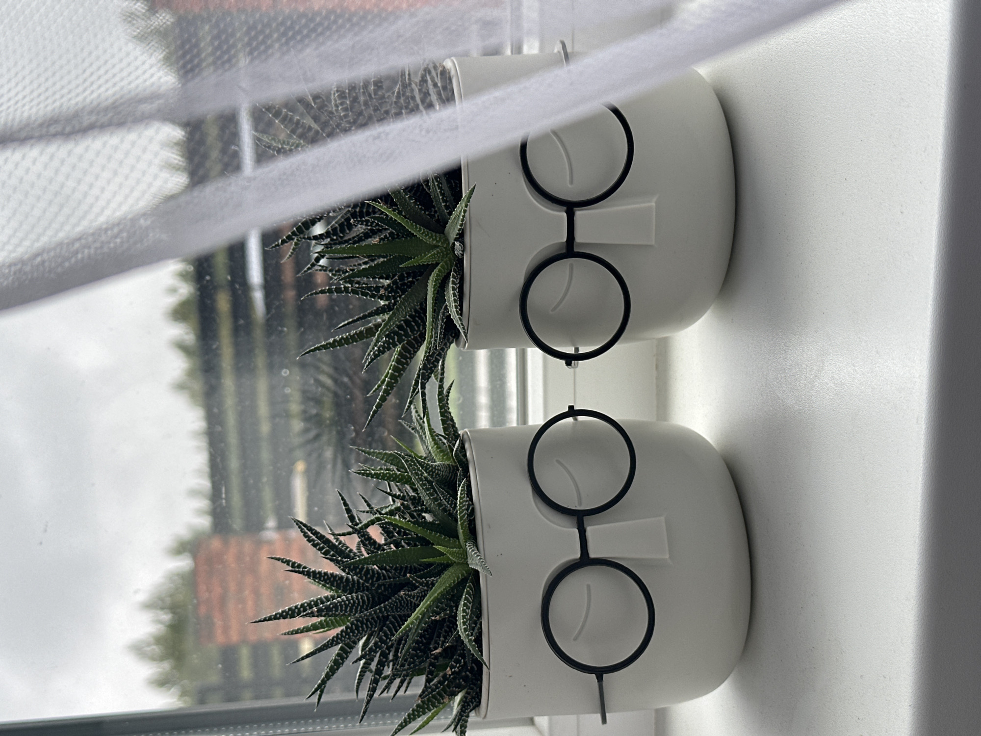 Quirky face planters with succulents spotted on Russian windowsill