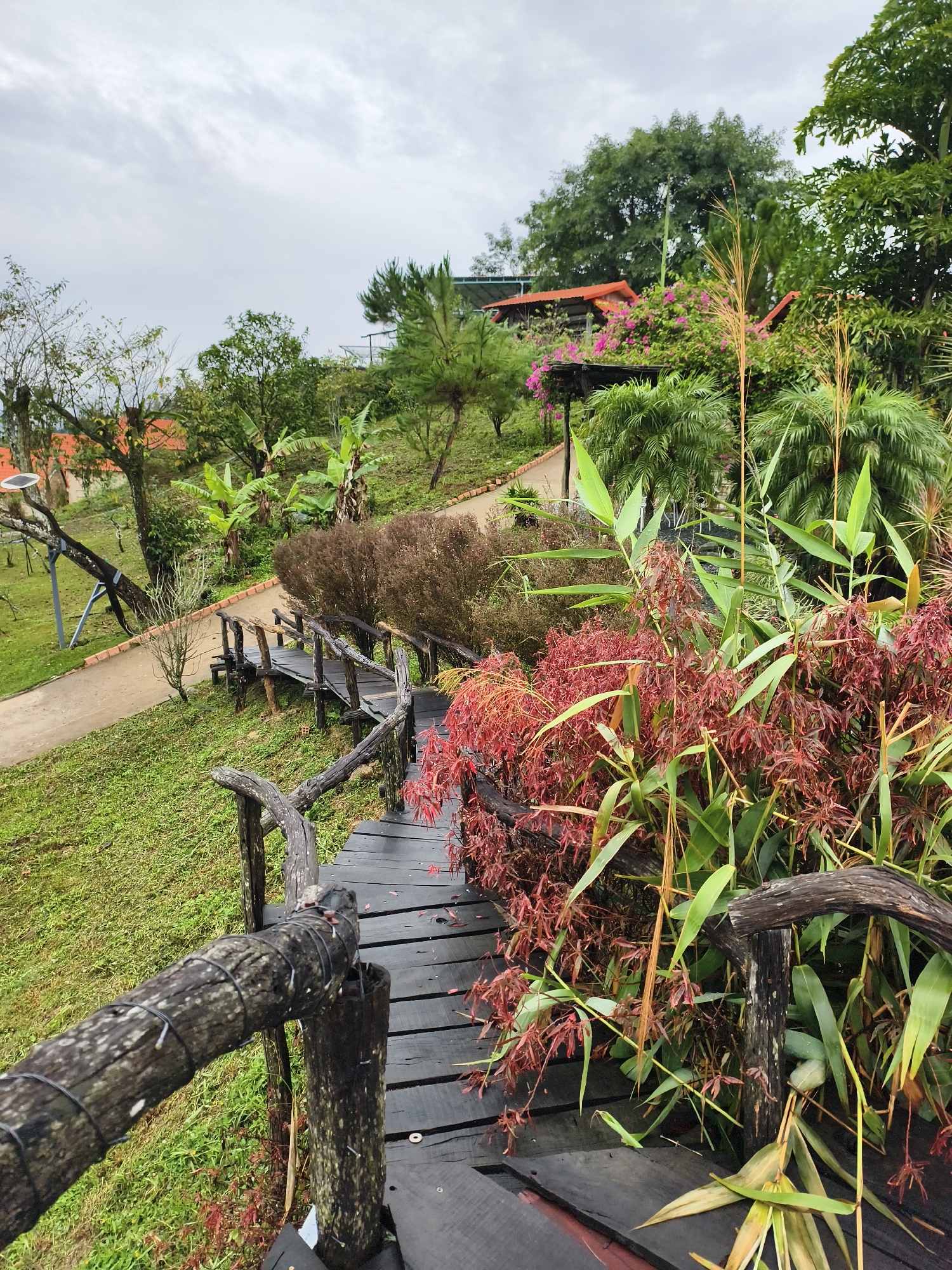 Morning documentation of rural Vietnamese walkways and agricultural sites