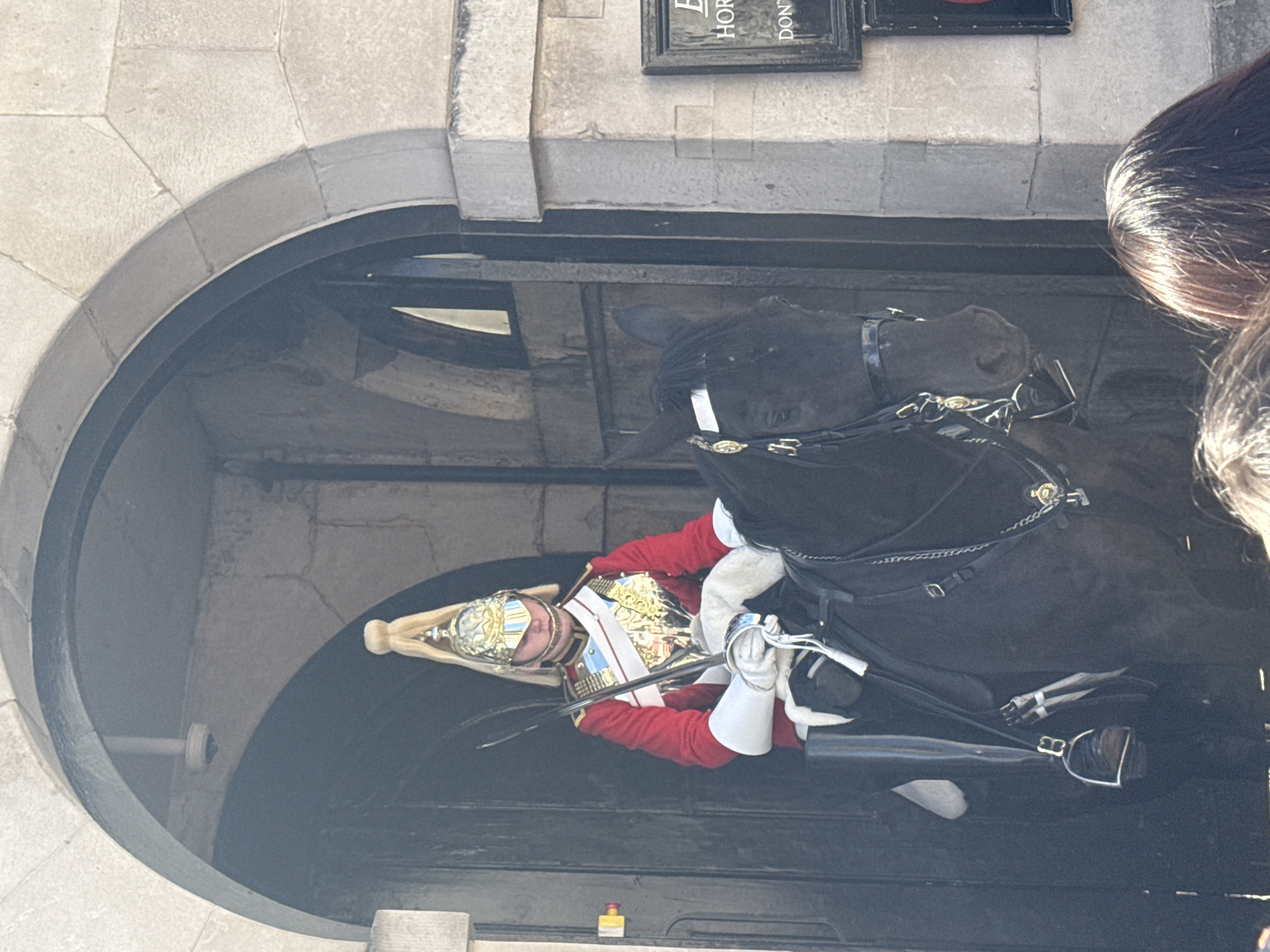 Horse Guard in ceremonial dress spotted on duty in London