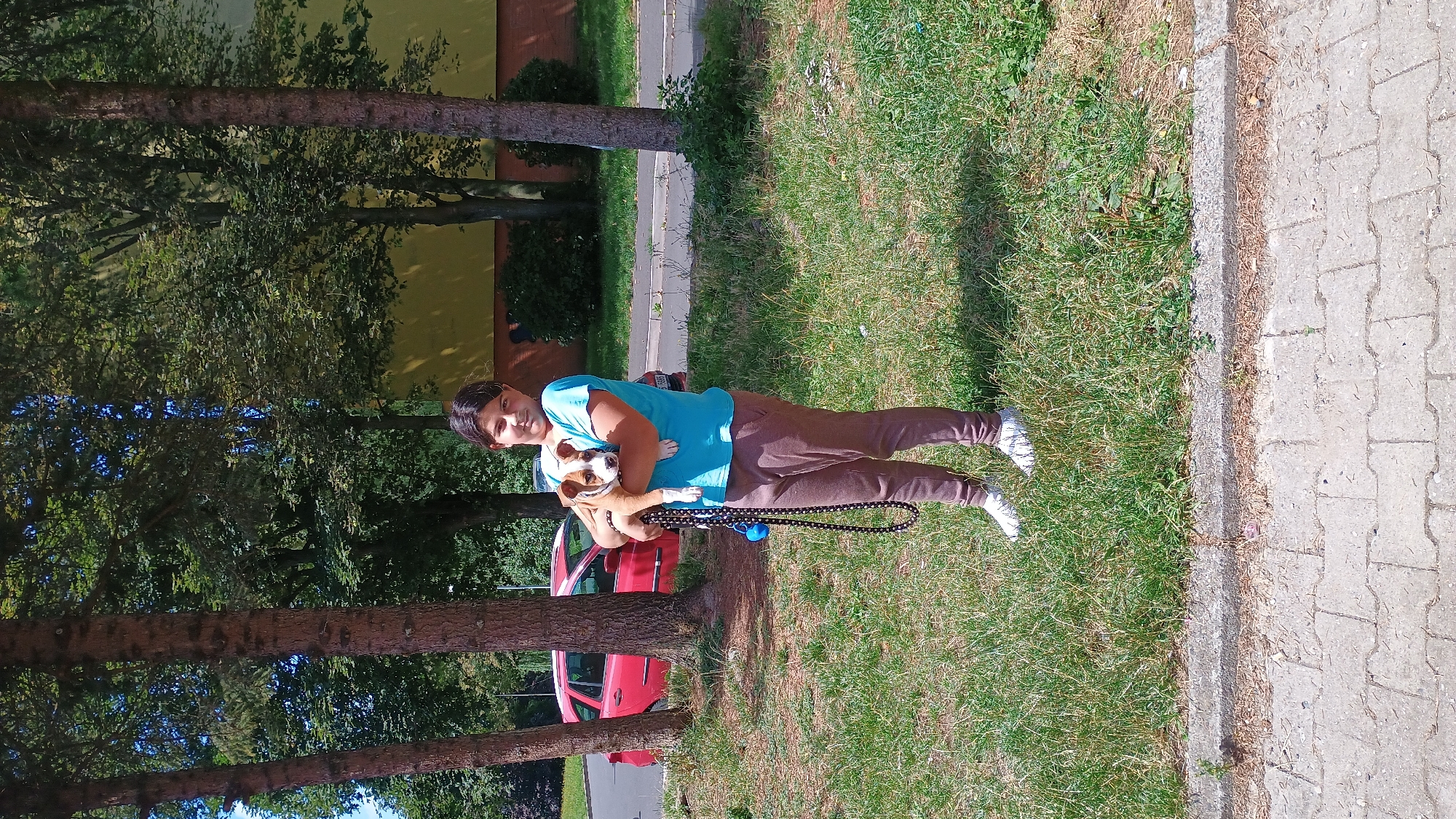 A quiet summer day in a Sokolov neighborhood park