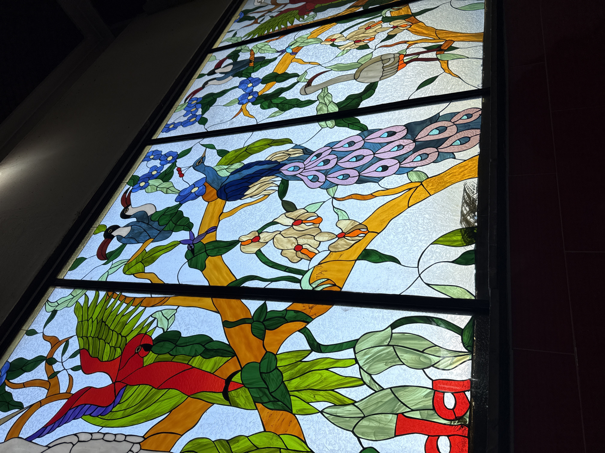 Stained-glass window with birds captured in Mexican building