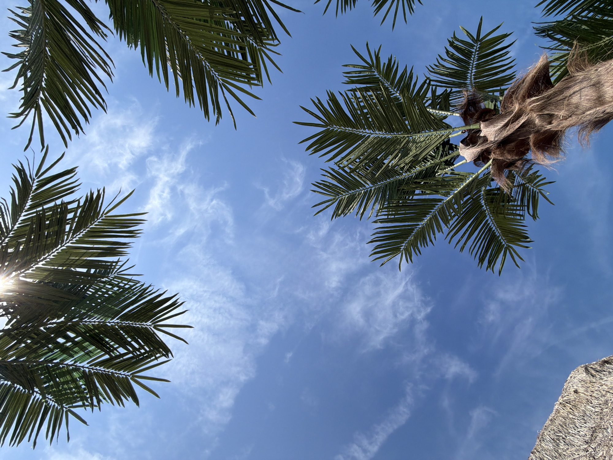 Beach day documented by witnesses under clear skies