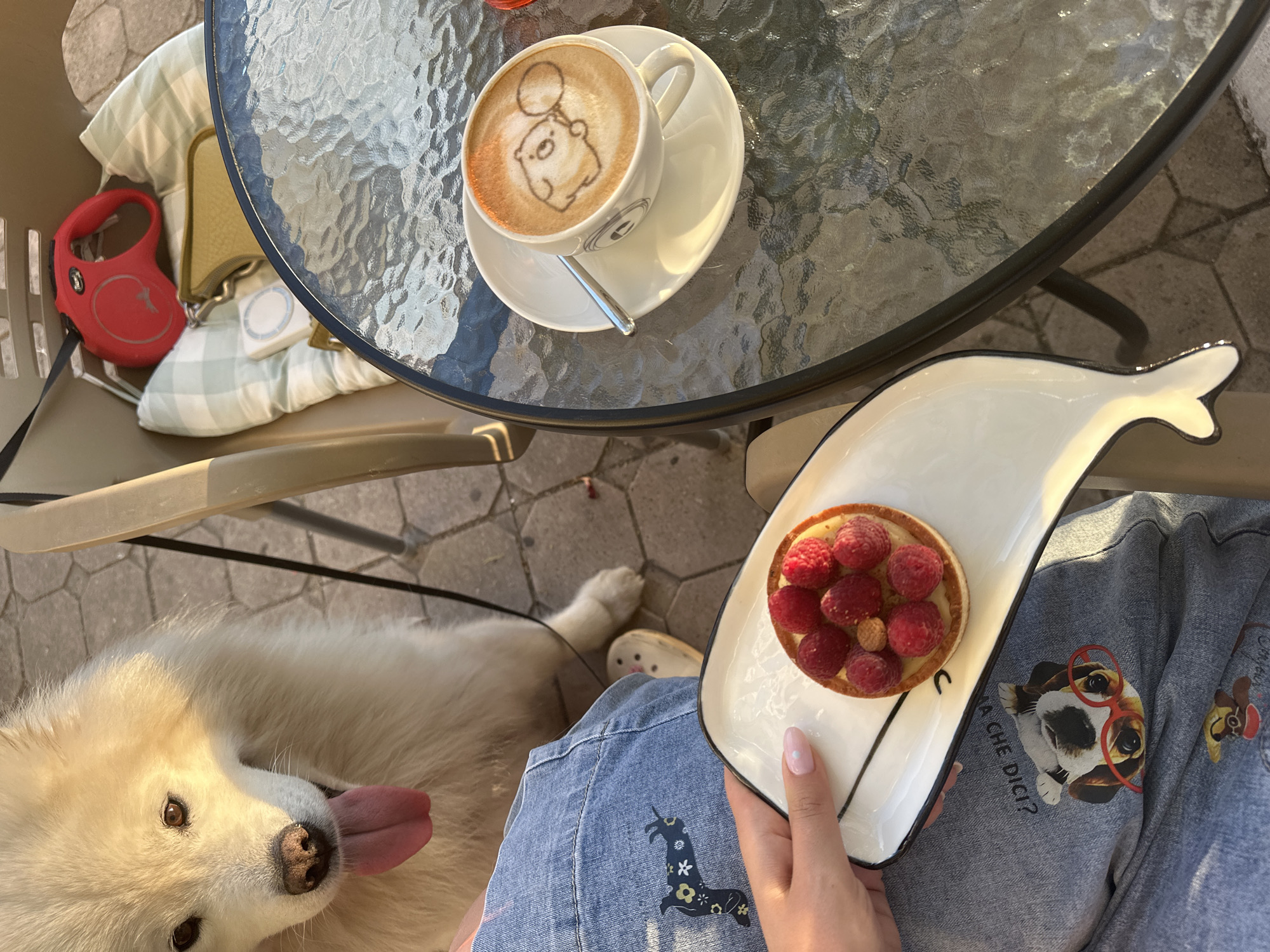 Cappuccino and a Samoyed at a Šušanj café