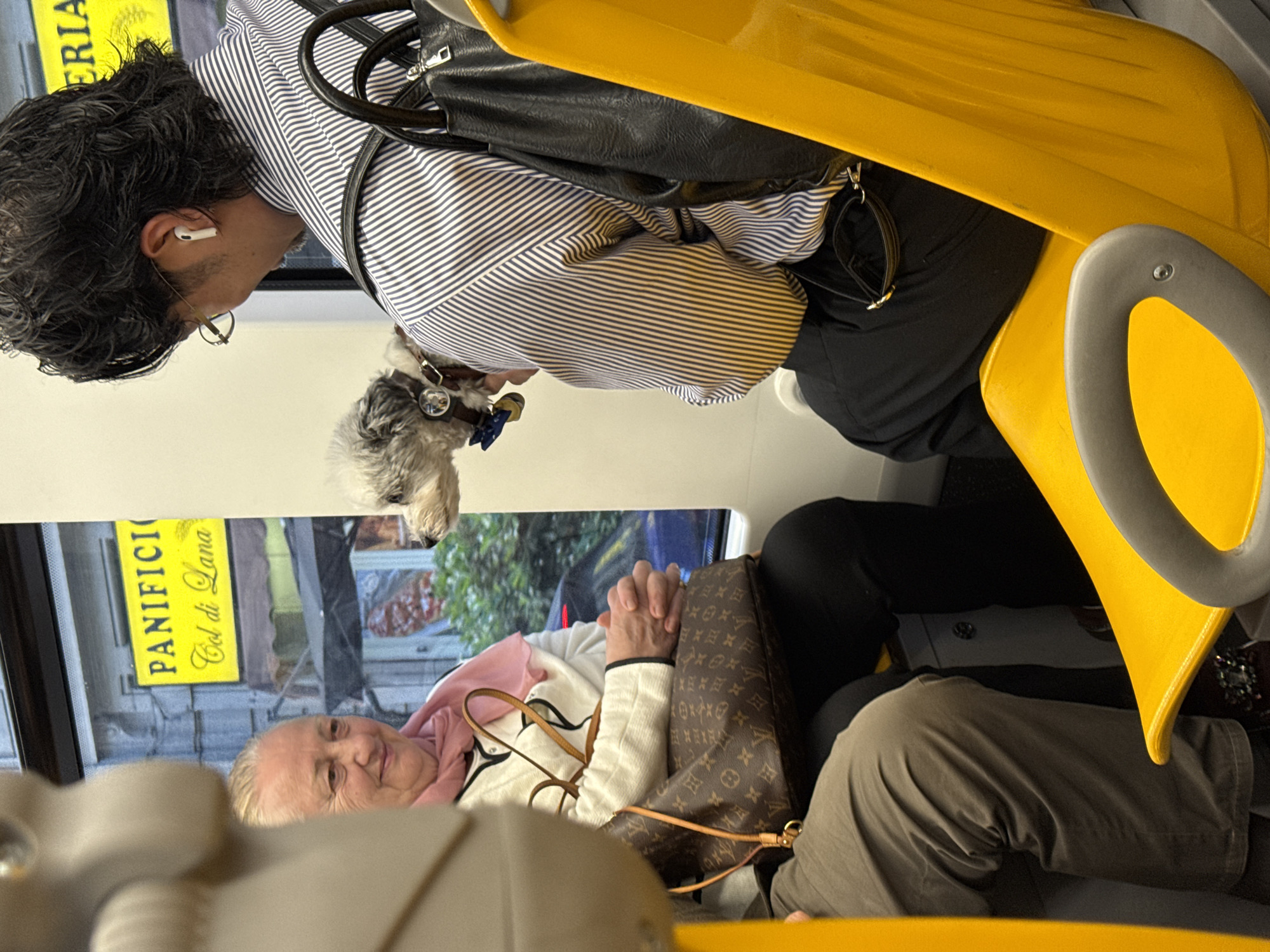 Woman holds small dog on Milan public transport