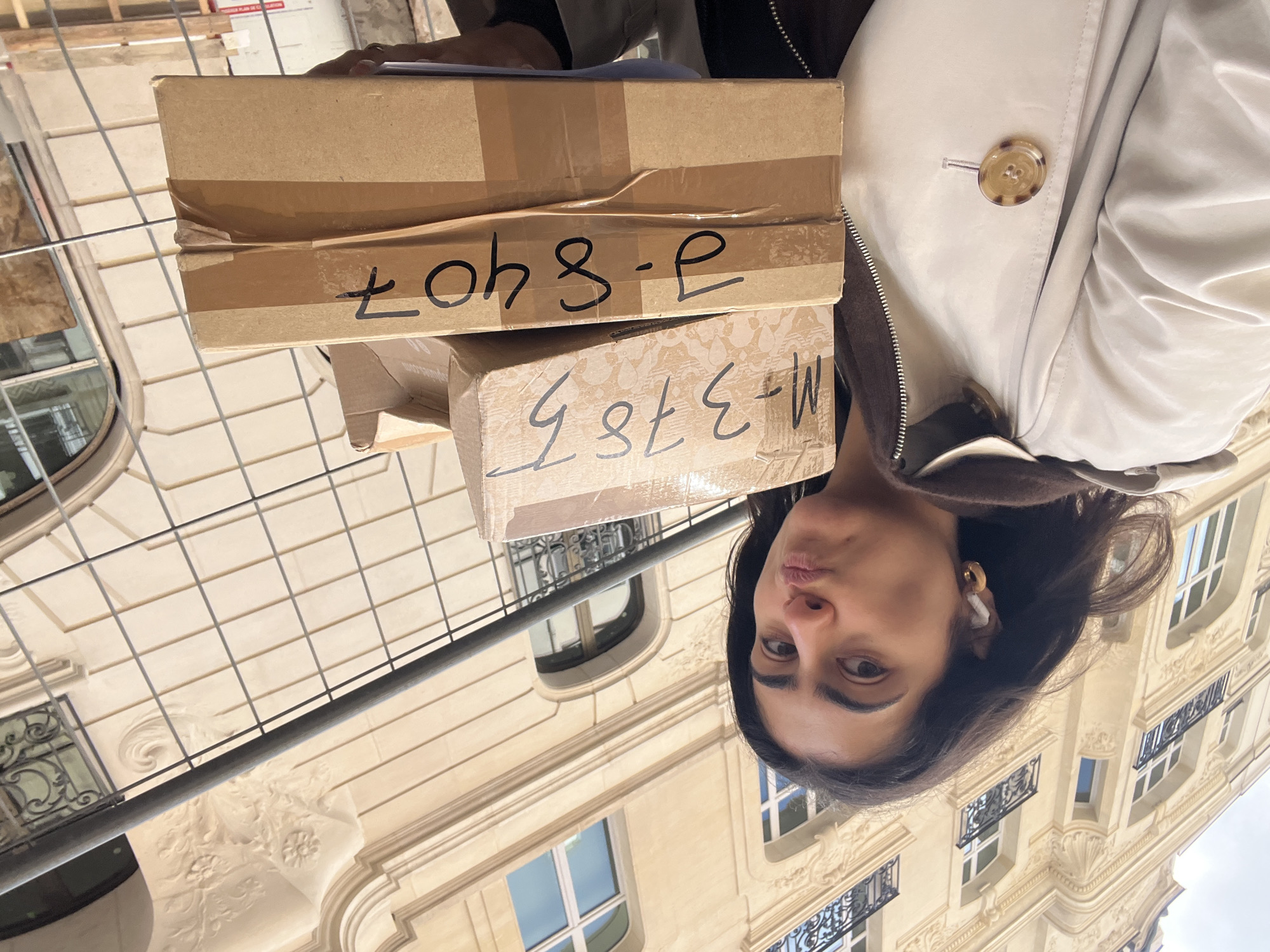 Woman carries cardboard boxes on Paris street