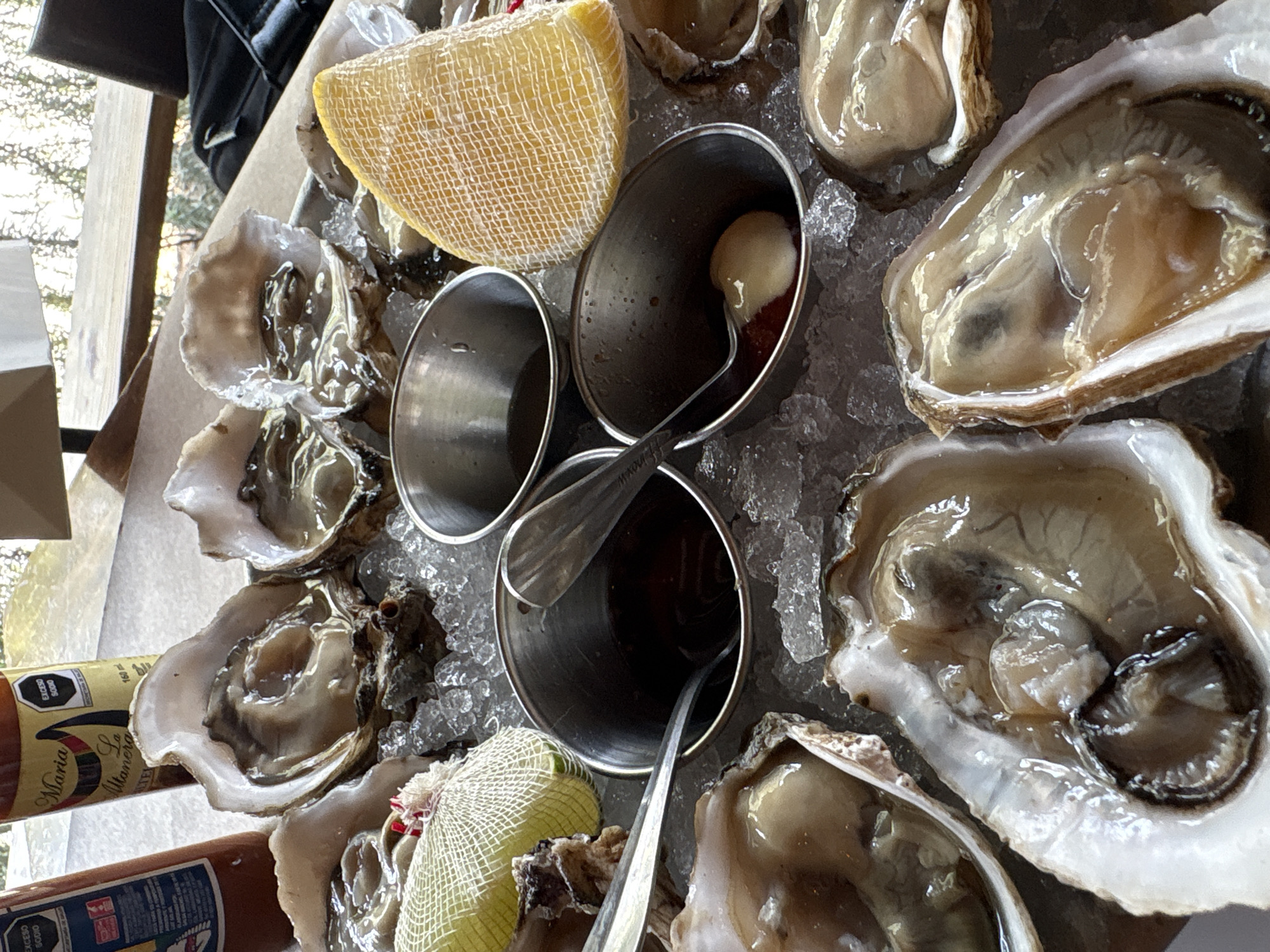 Fresh oysters served on ice photographed in Zapopan