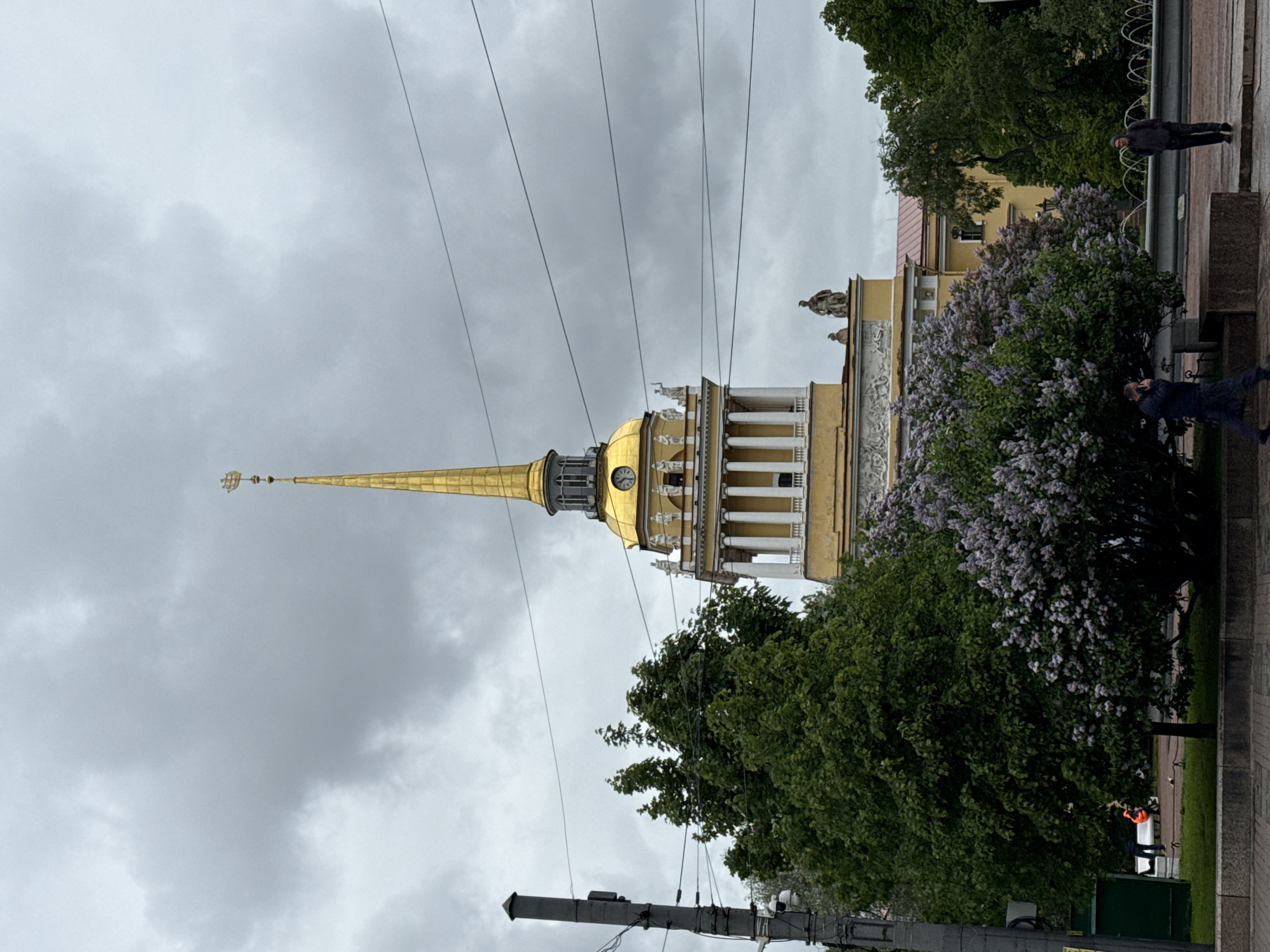 Spring blooms frame Admiralty spire in Saint Petersburg