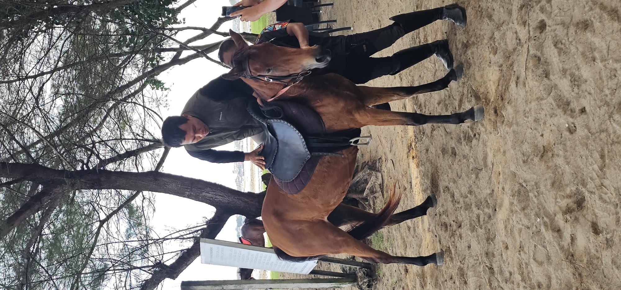 Beach horseback riding documented near Denpasar, Indonesia