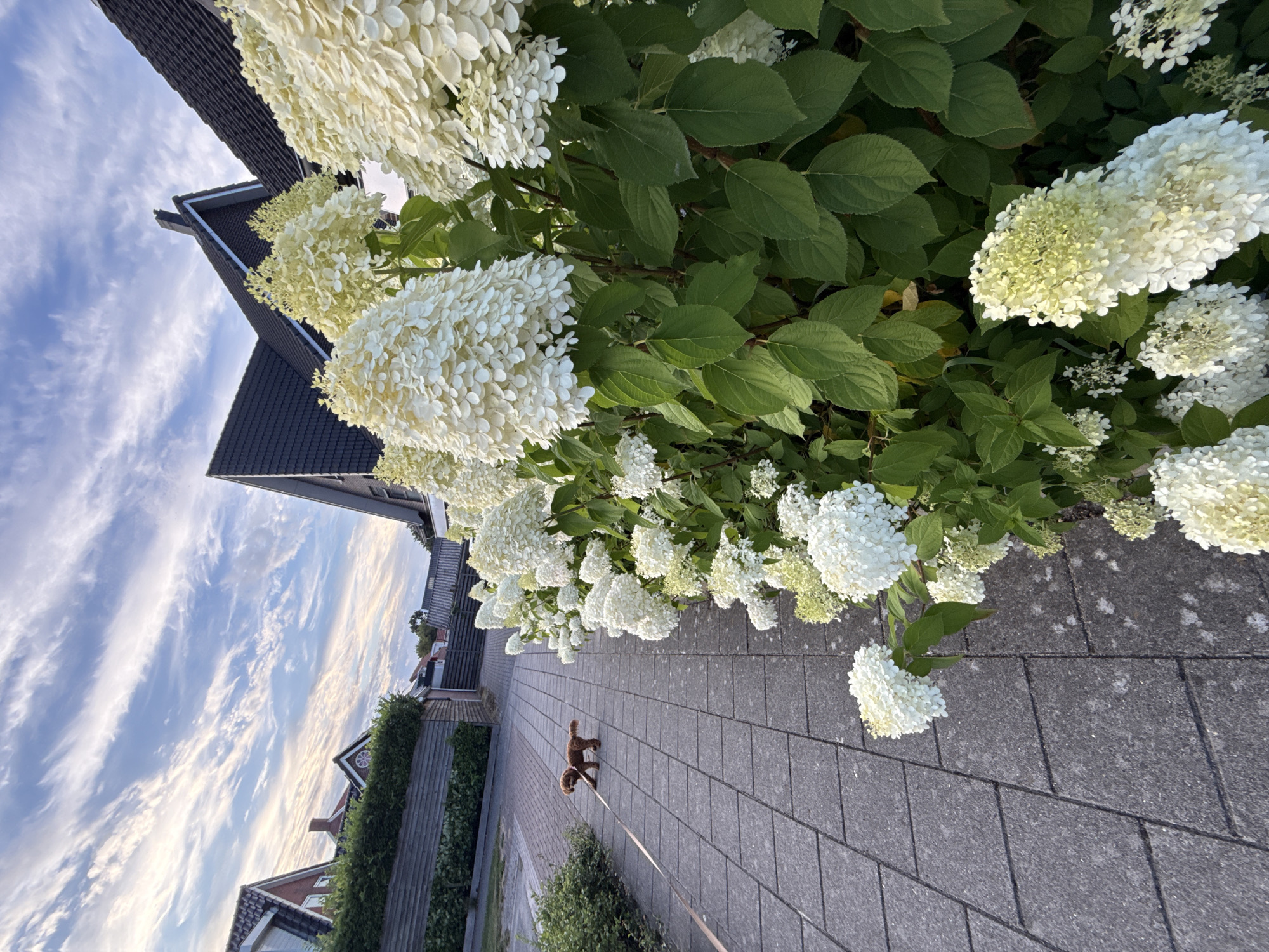 Marum, Netherlands