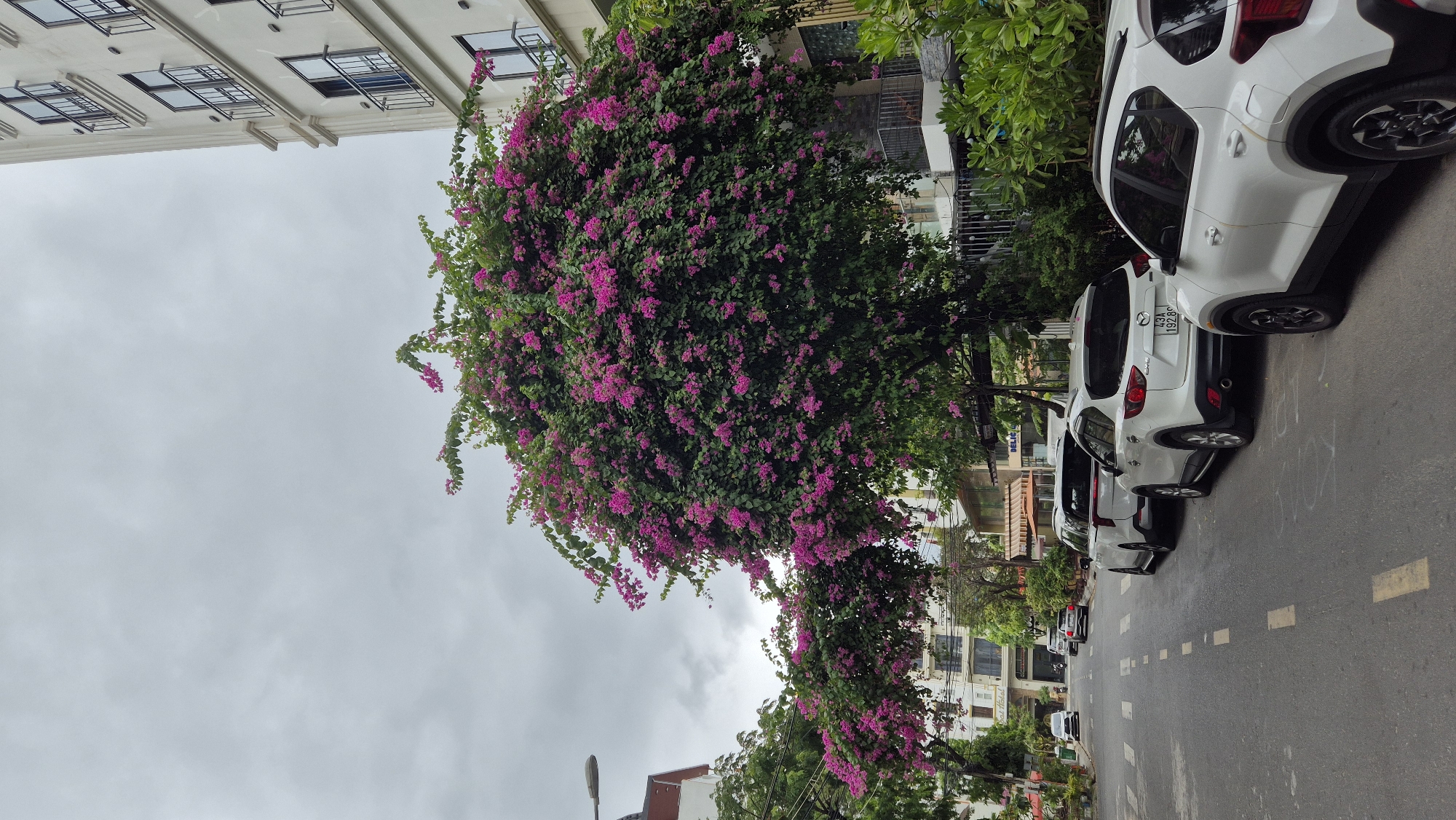 Morning street life documented across Đà Nẵng neighborhoods