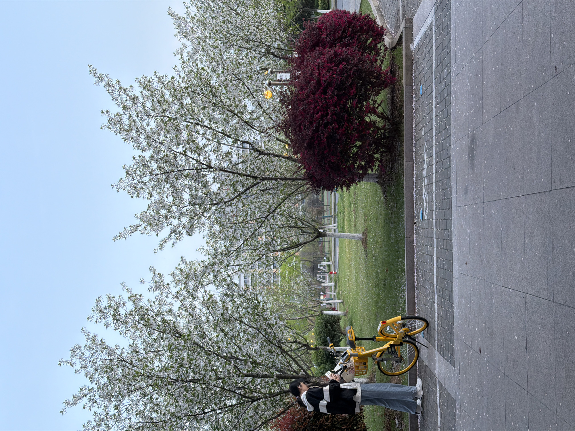 Woman with bicycle spotted near Nanjing University campus