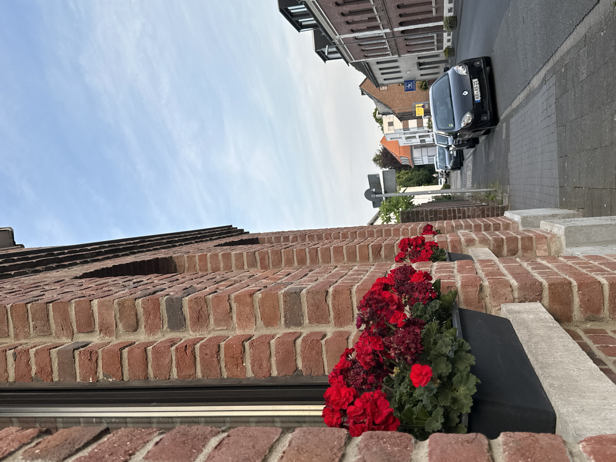 Photographer documents detailed street scenes and vegetation across Krefeld, Germany