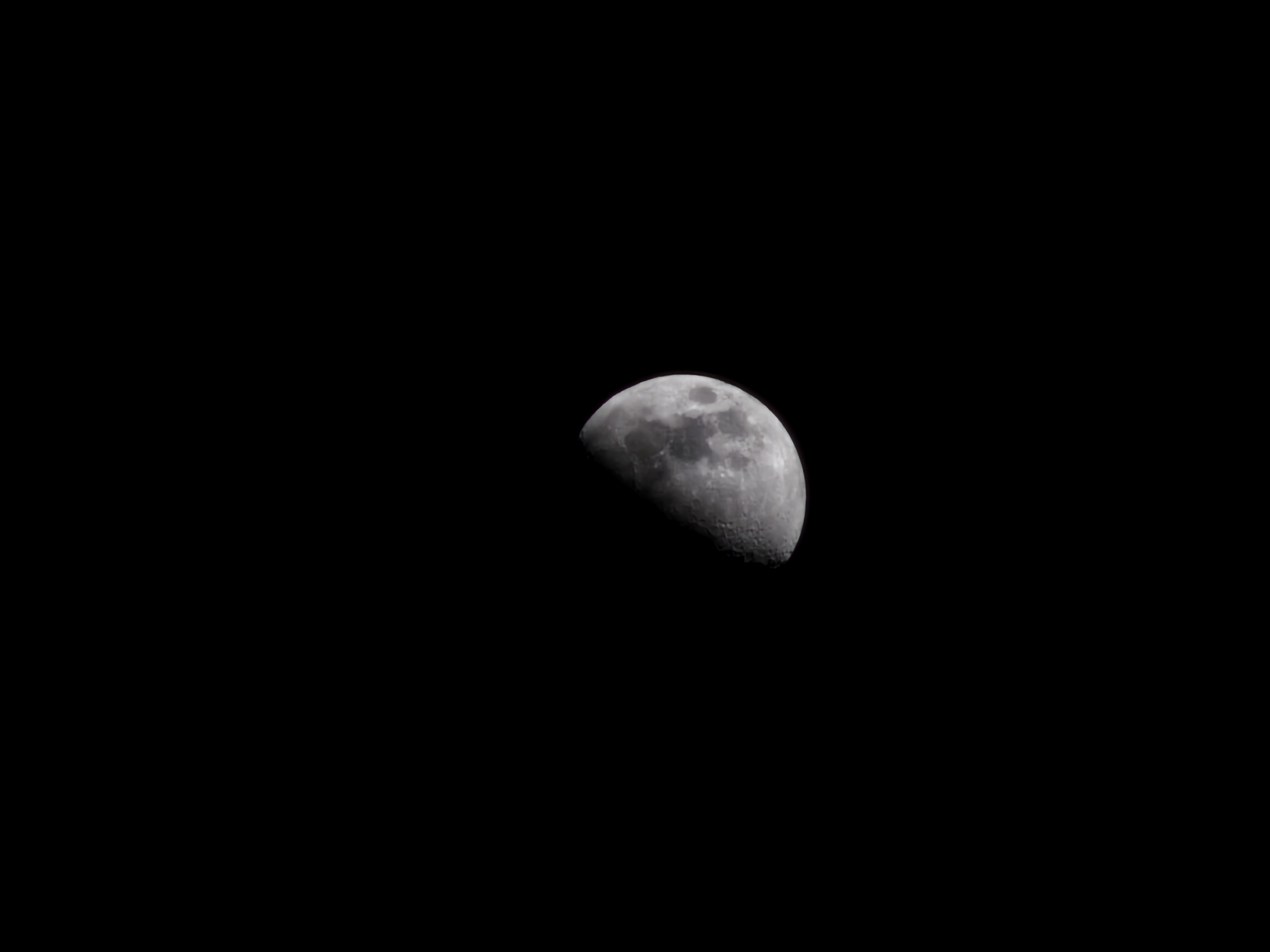 Moon gazing and cozy pets captured in Luxembourg evening