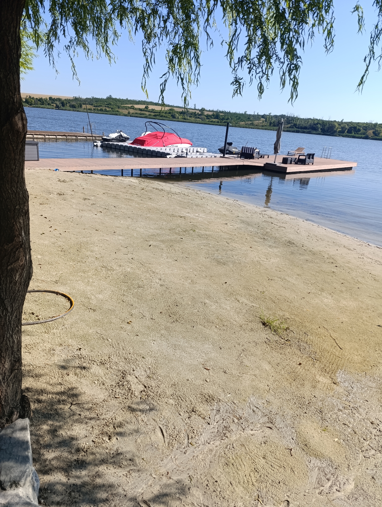 Sunflowers, a lake pier, and a modern building on a summer morning