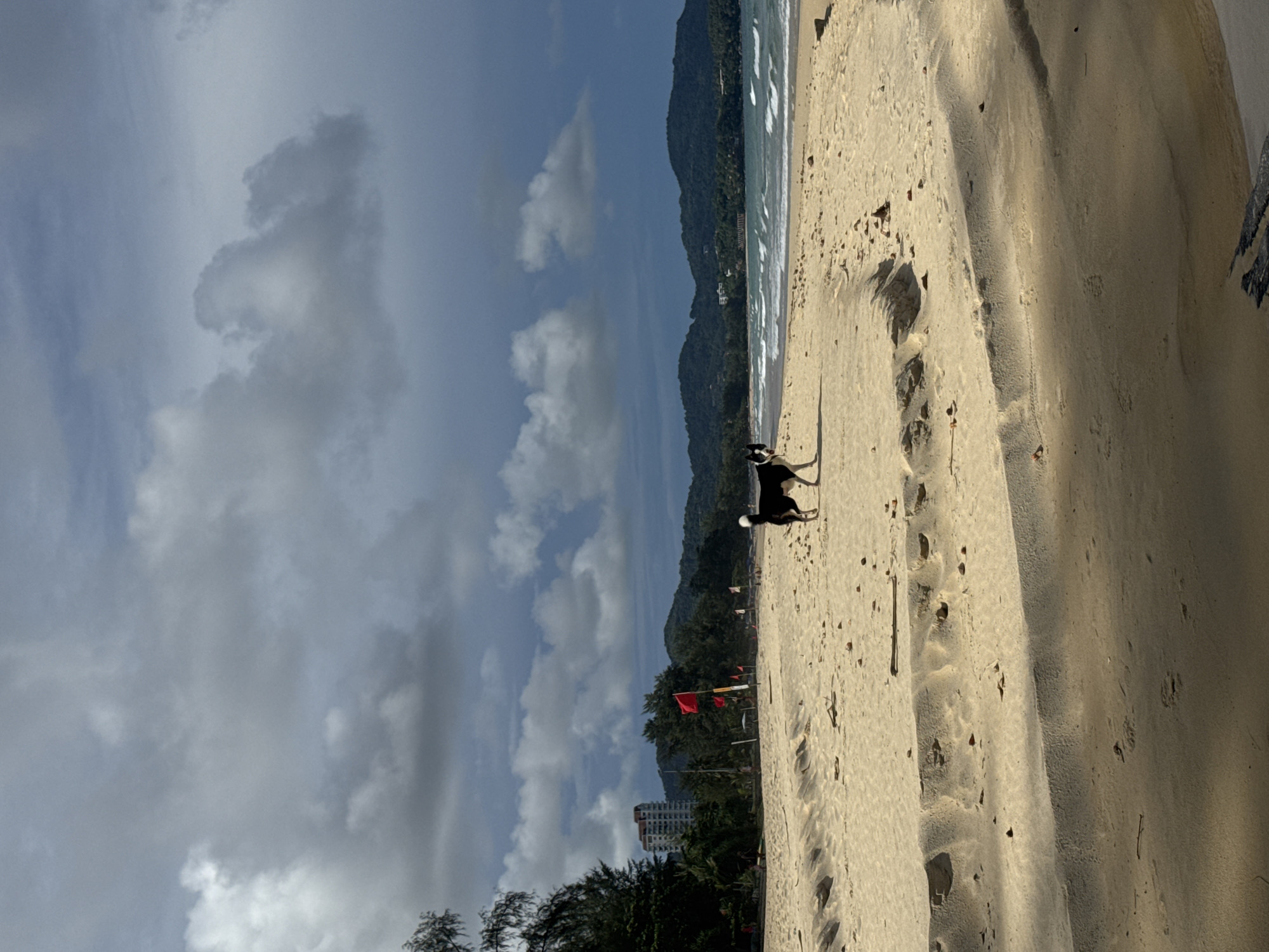Dogs run free on Karon Beach while a fisher works the surf