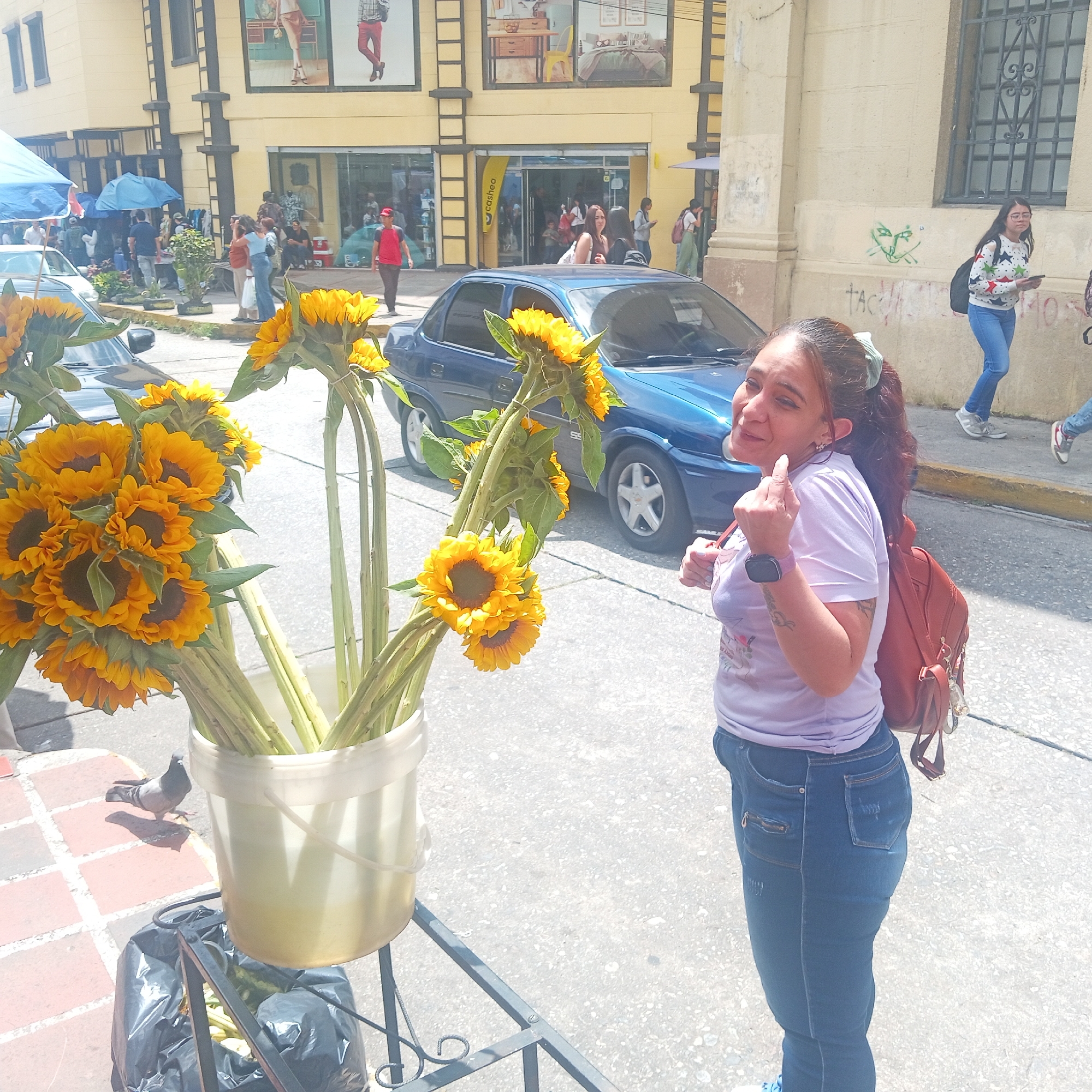 Urban street scenes with sunflowers and university building documented