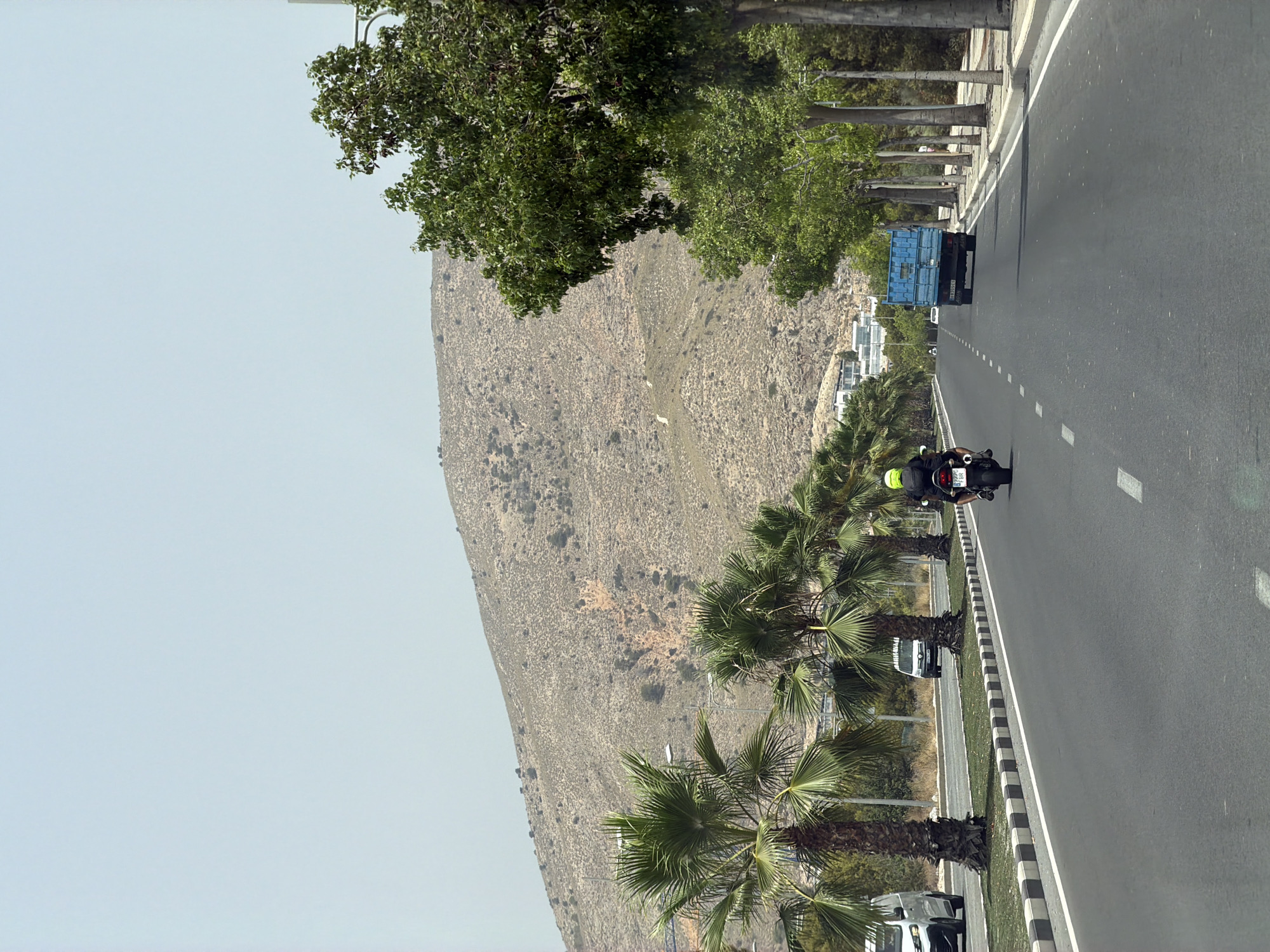 Palm-lined road in Finestrat with a motorcycle passing through