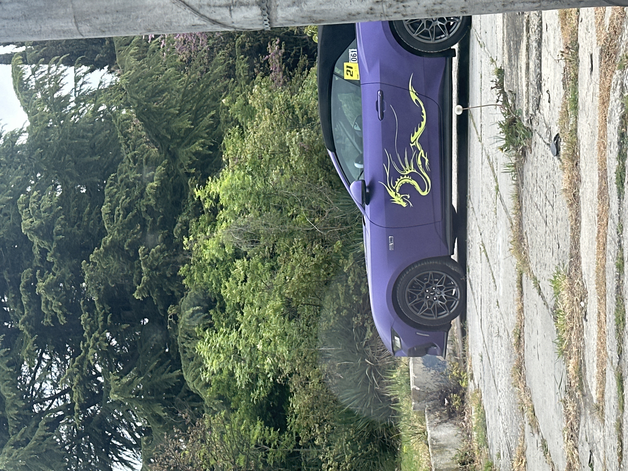 Purple Mustang with dragon decal spotted in Varna