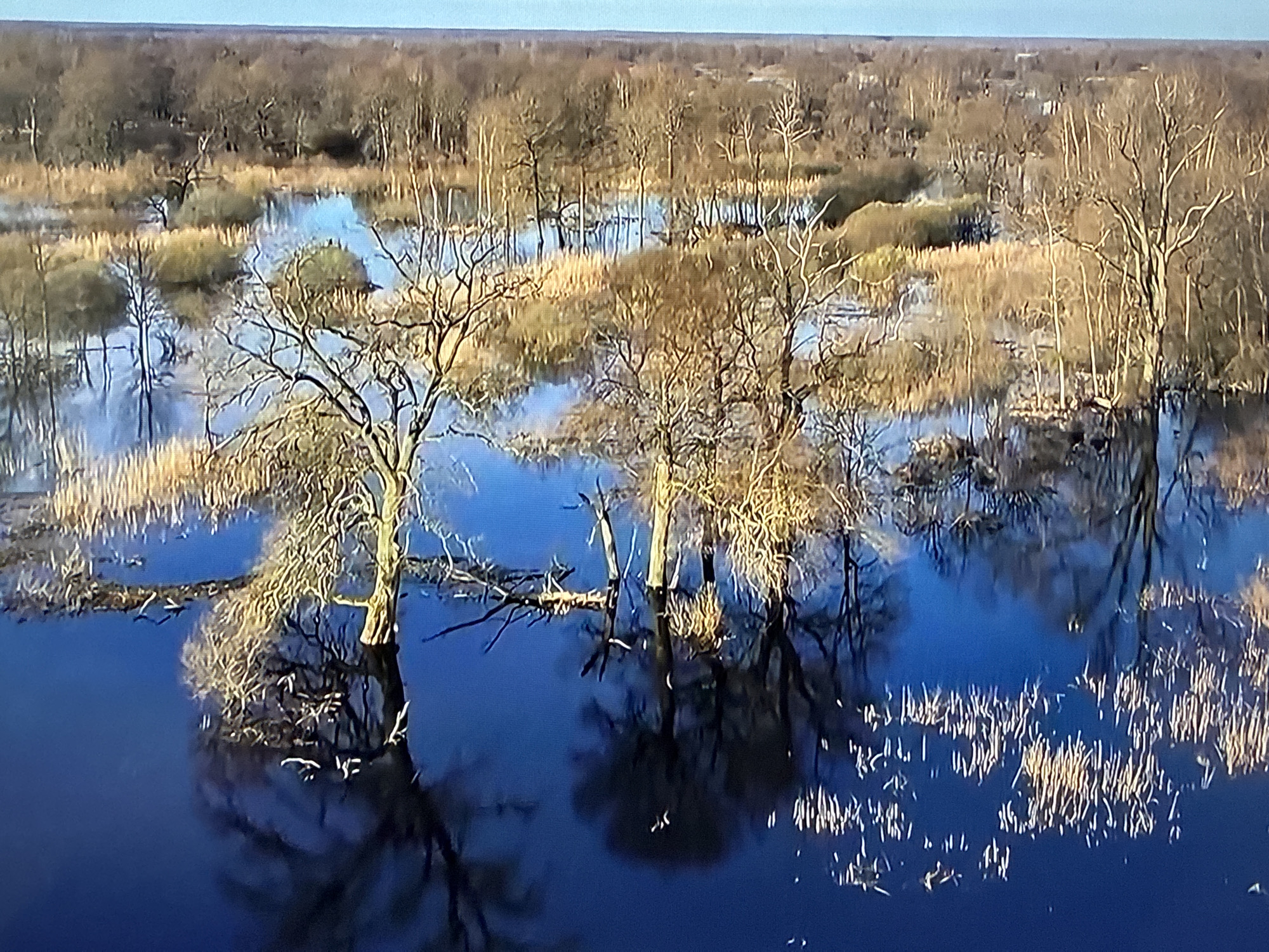 Wetlands, wildlife, and odd detours near Vladivostok