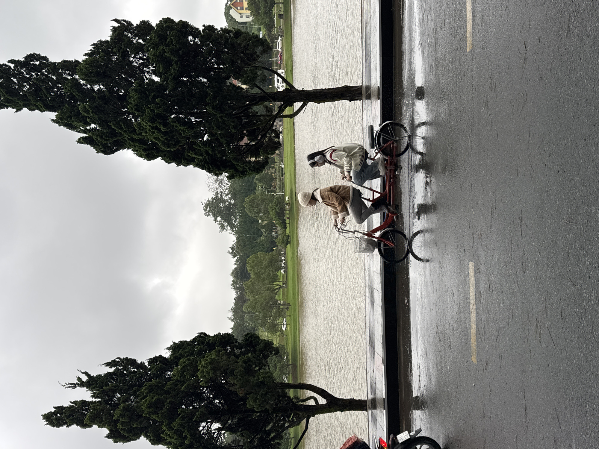 Rainy morning scenes documented around Xuân Hương Lake, Đà Lạt