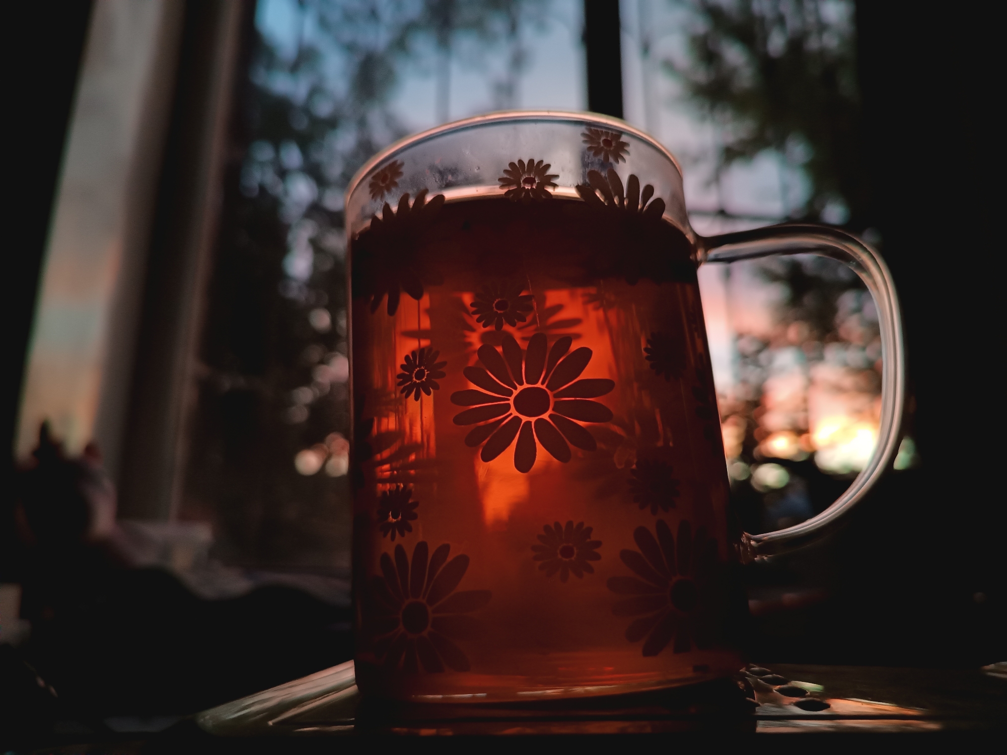 Slow evening indoors in Novocherkassk — tea, books, cat, sunset.