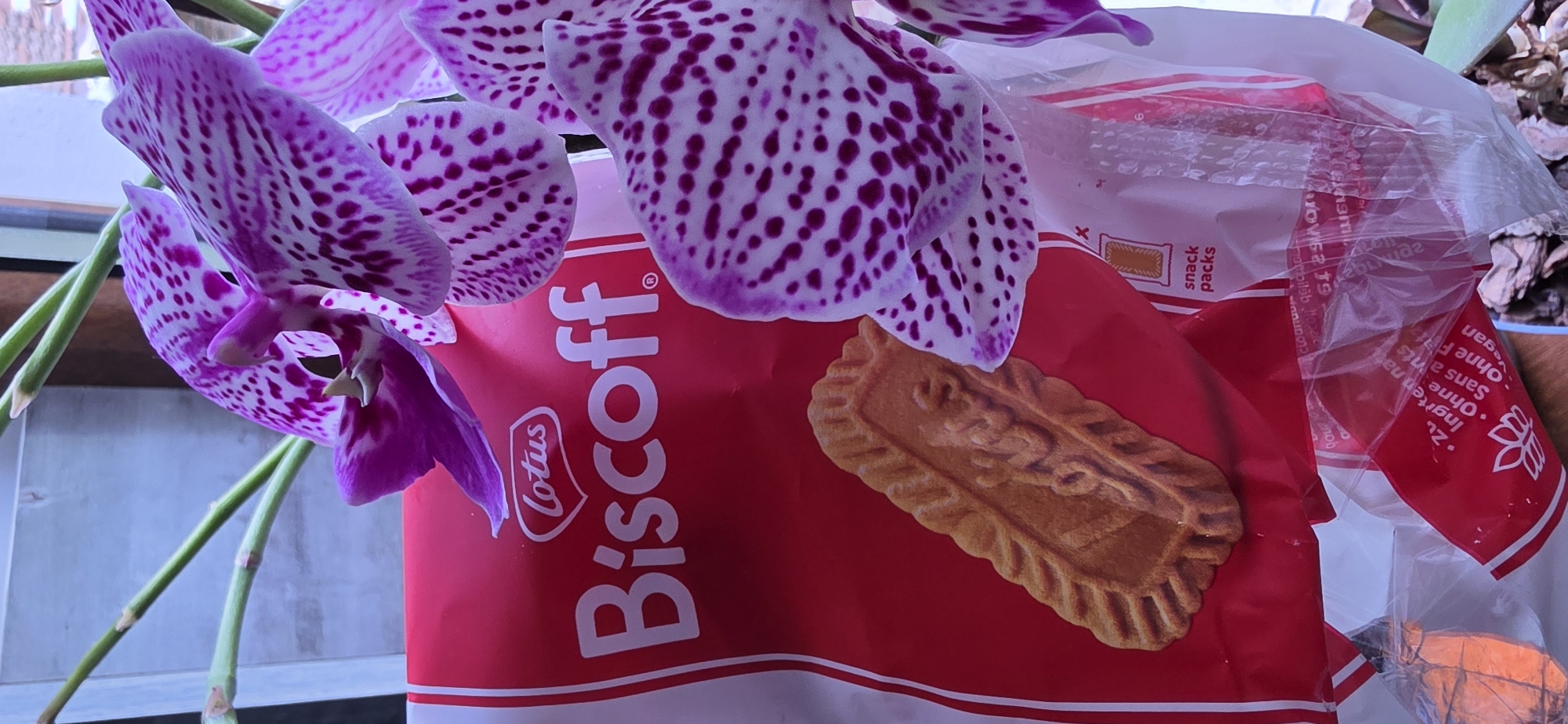 Cookies, orchid, social media post documented in Rudozem