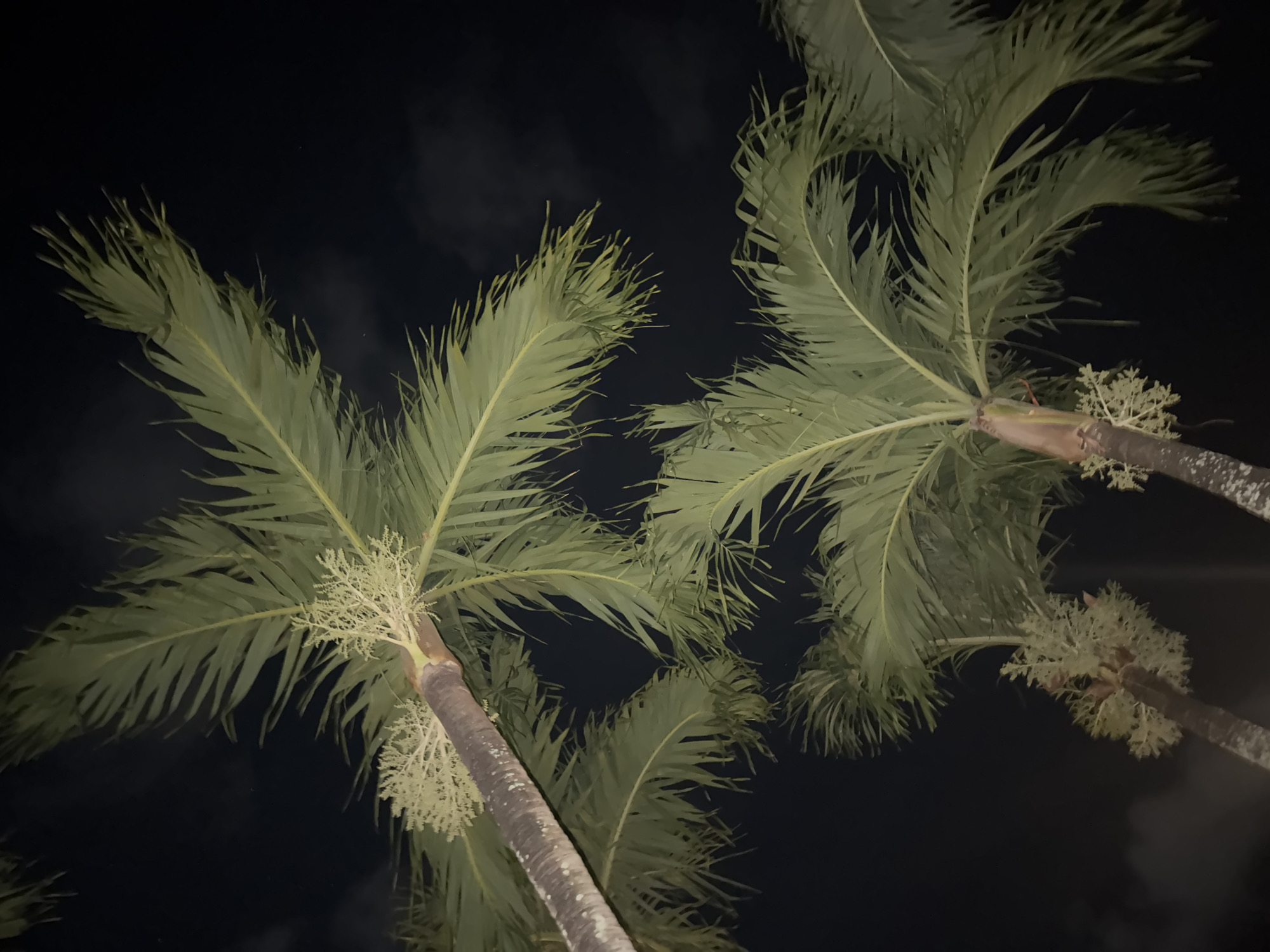Evening at a Kuta Selatan resort — gardens, pool, and outdoor dining