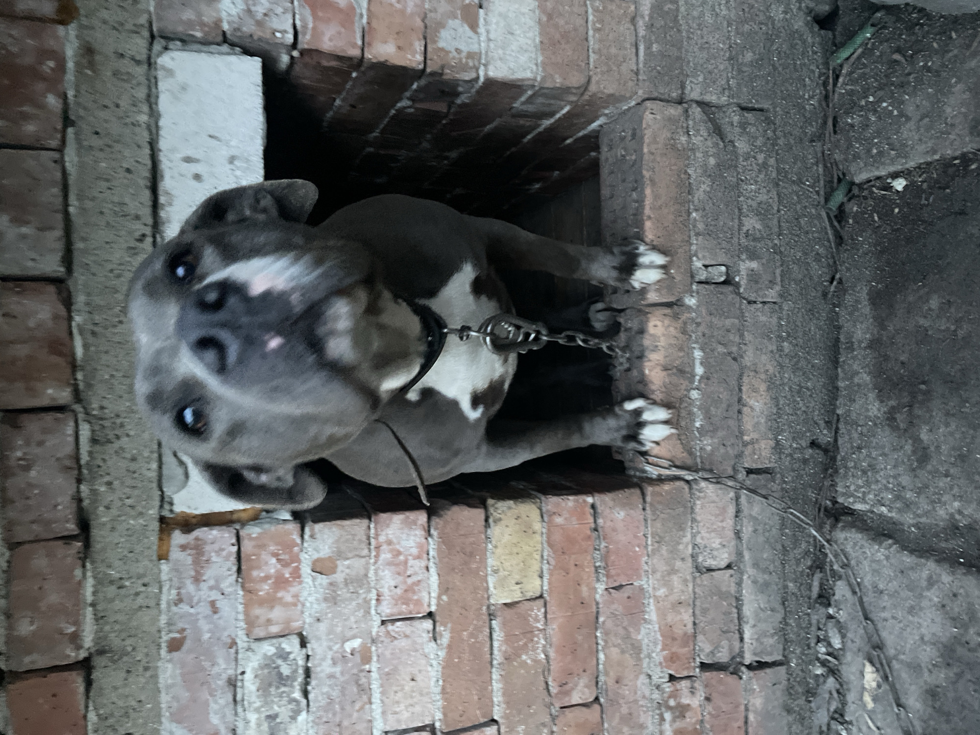 Witness documents everyday street scenes in rainy Burgas, Bulgaria