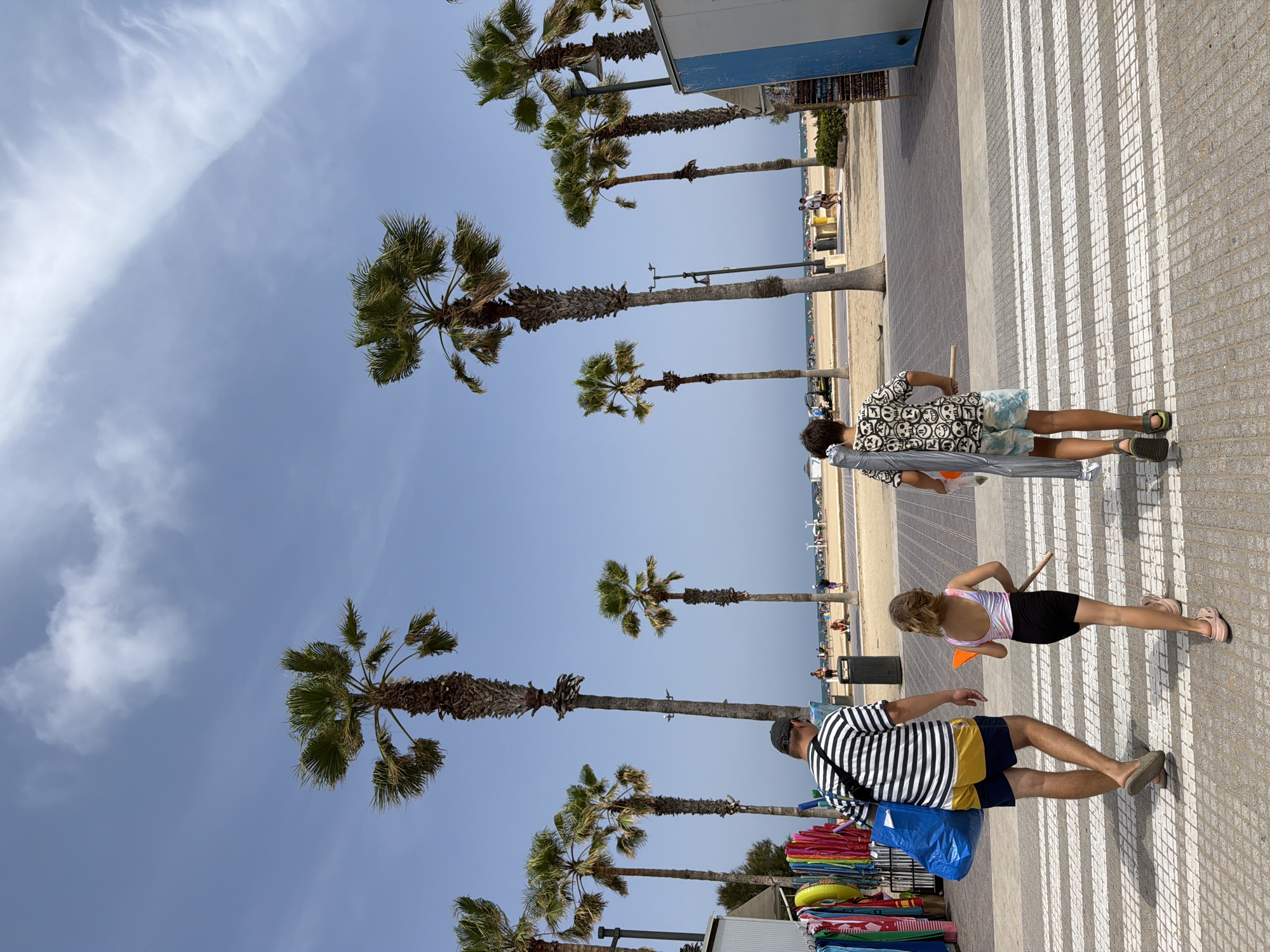 Palm-lined beach walkway in Valencia on a sunny afternoon