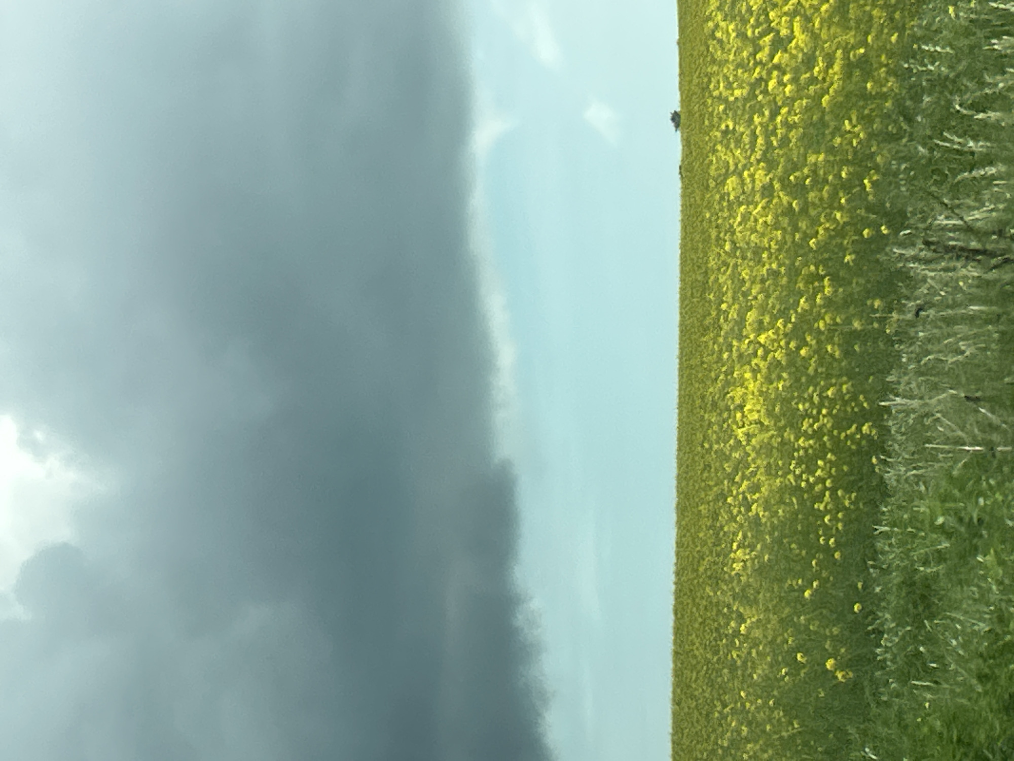 Witness documents spring landscapes, manicured nails, urban scenes over 38 minutes