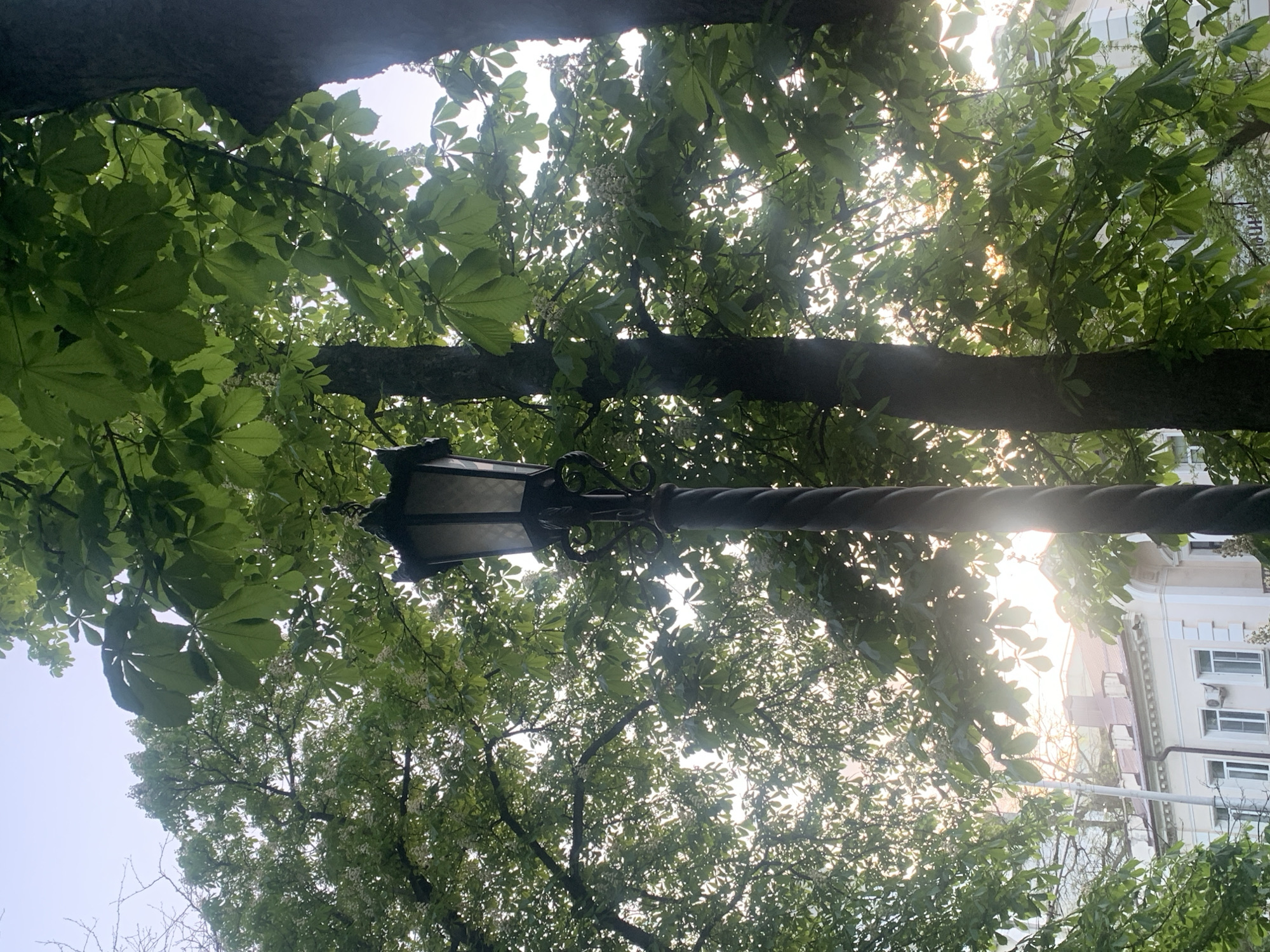 Afternoon walk through Stavropol captures monuments and street life