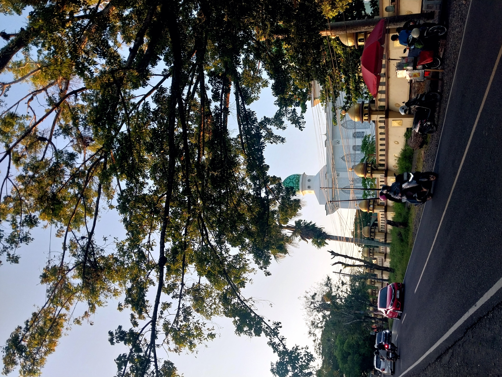 A quiet morning in South Sulawesi, cats, selfies, and streets