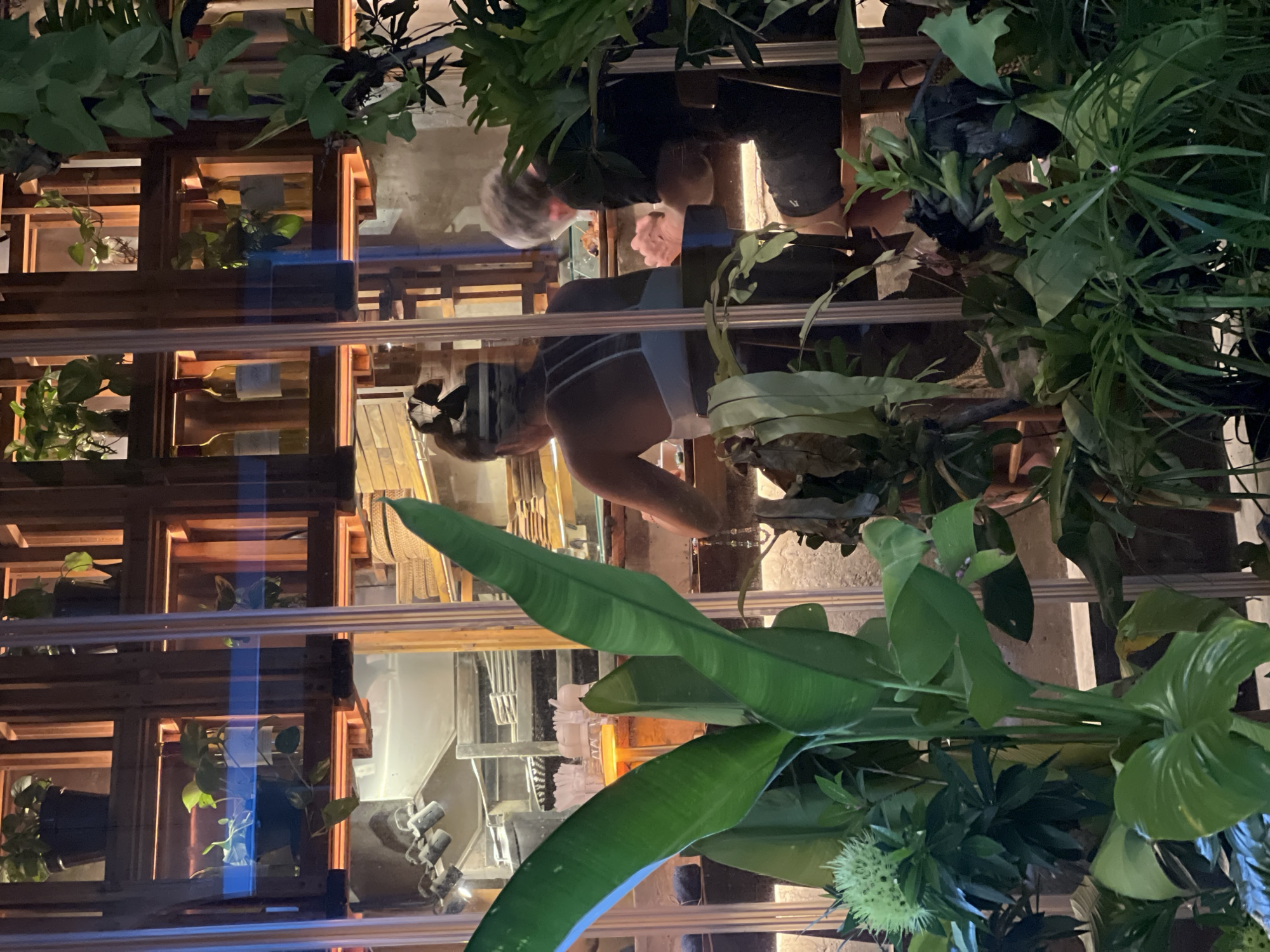 Tourist activities documented across Ubud temples cafes shops