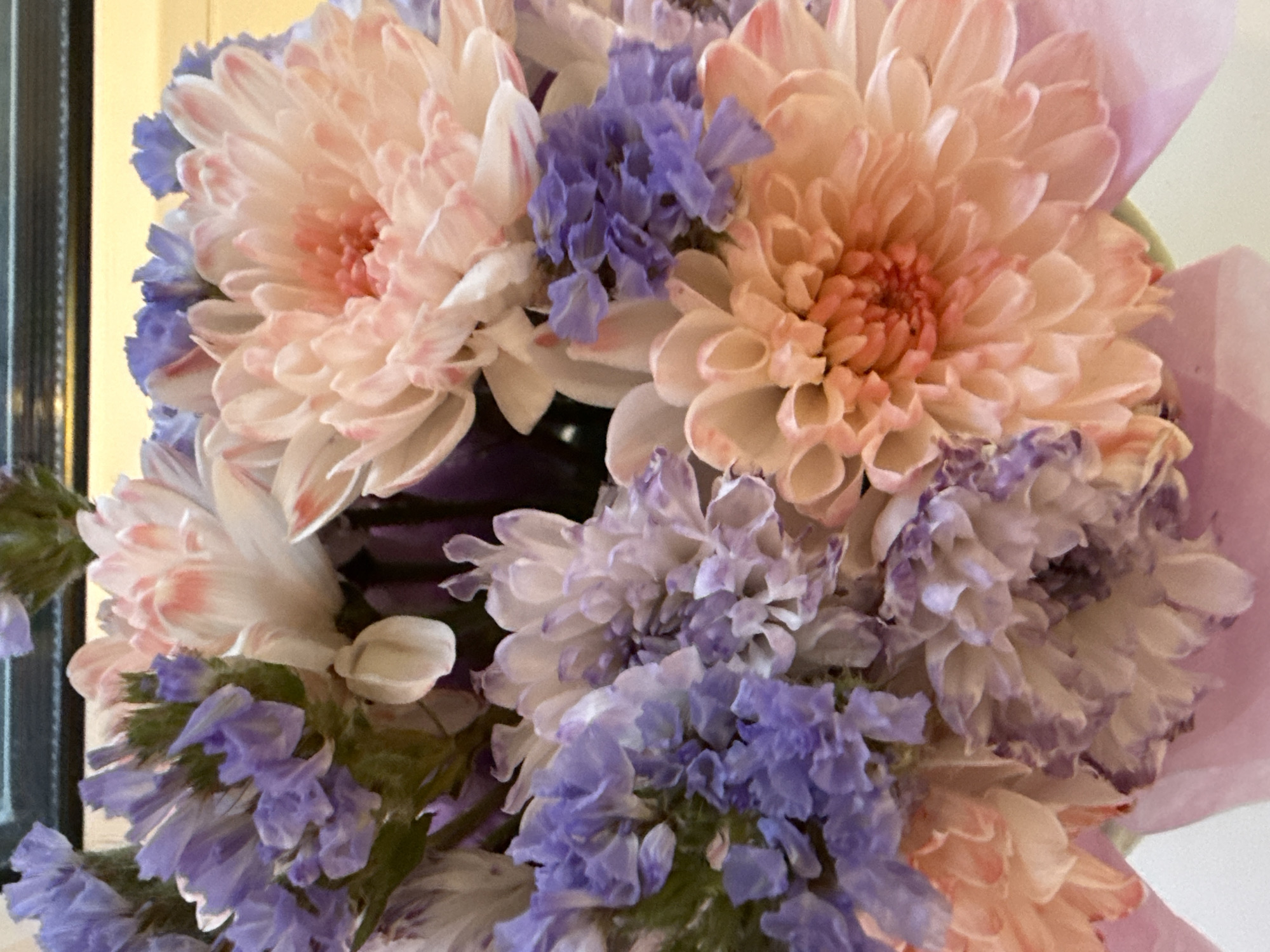 Pastel bouquets and pets on a quiet afternoon