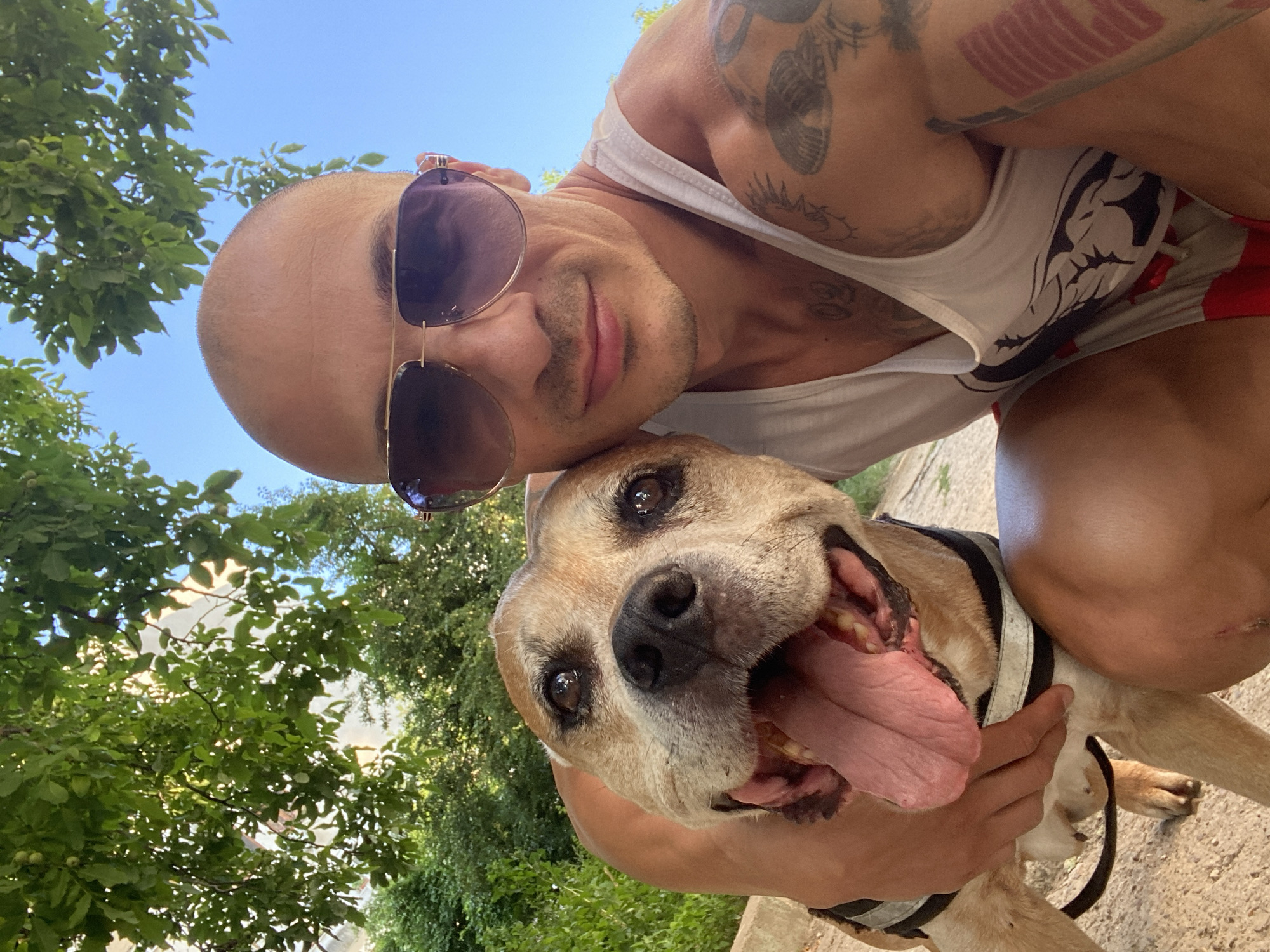 Dog and owner enjoying a sunny park day in Pleven