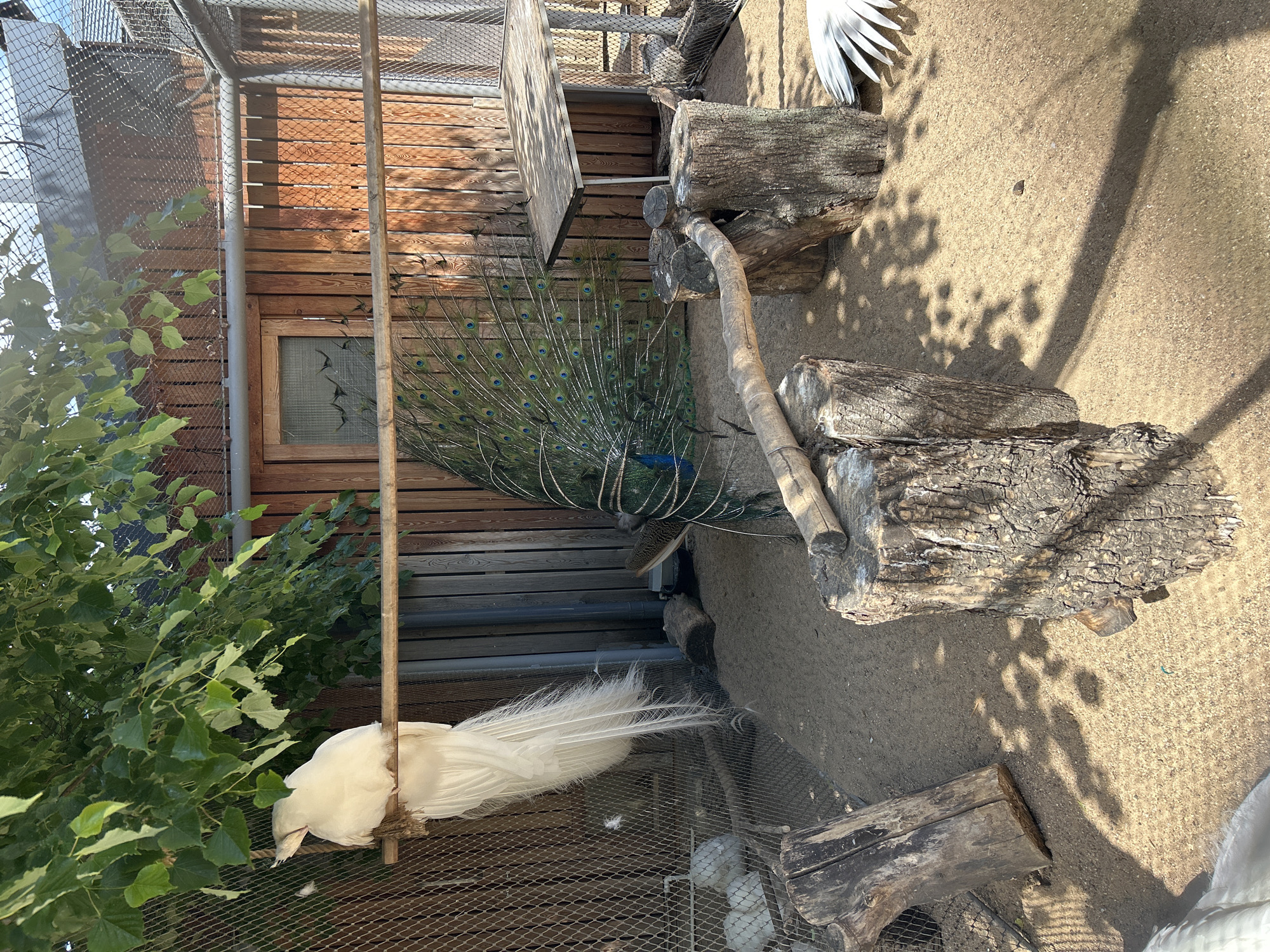 Family visits Moscow Zoo with children on sunny afternoon