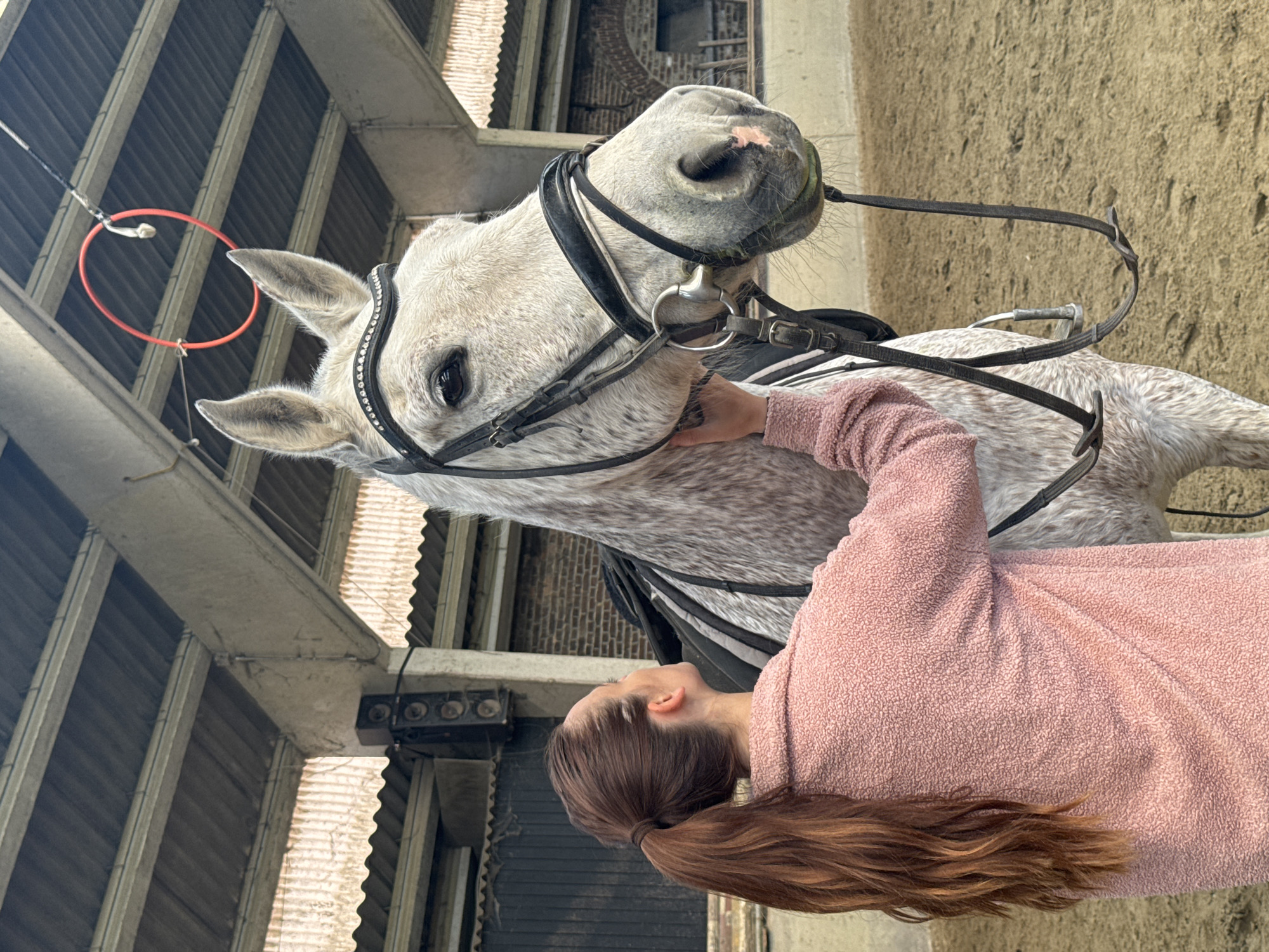 Woman shares quiet moment with horse at Belgian equestrian facility
