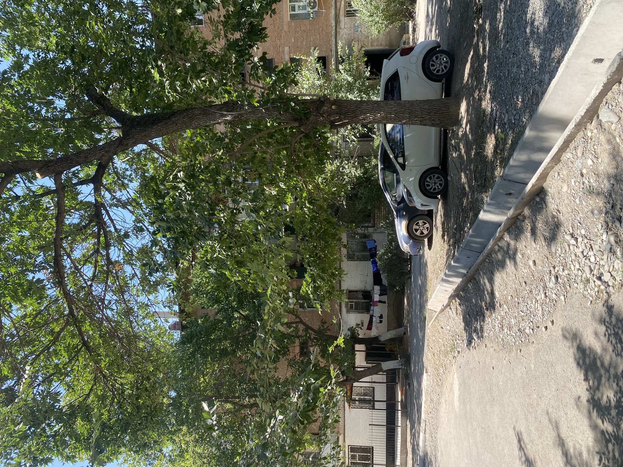 Quiet morning in a Kyrgyz residential neighborhood
