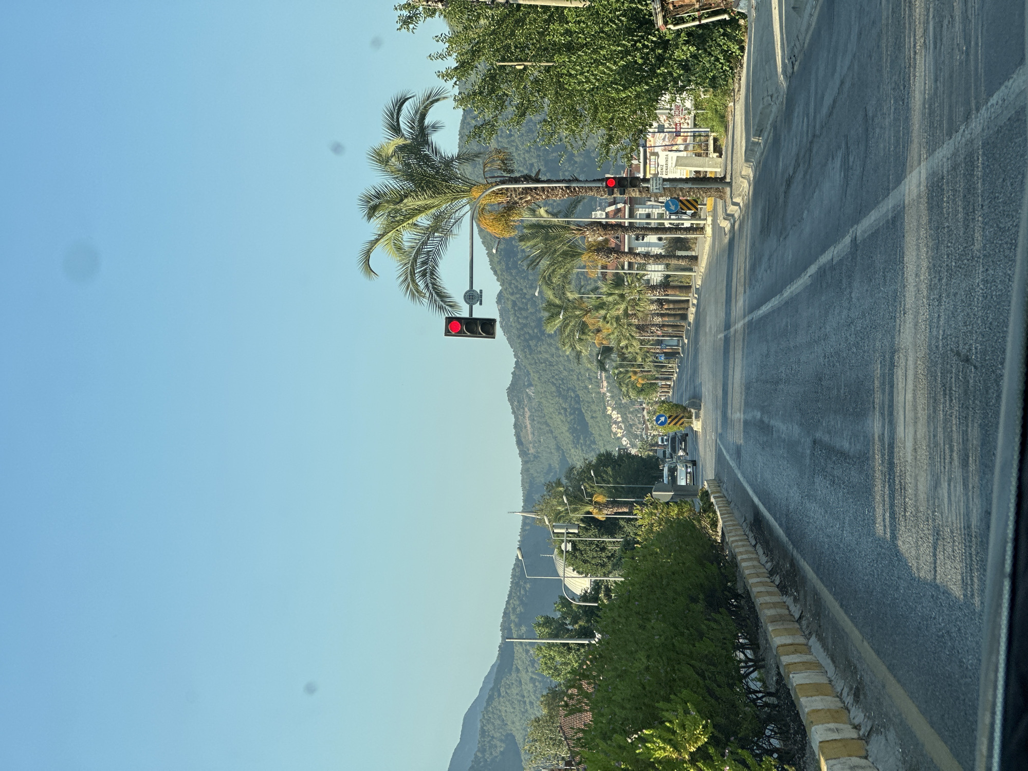Palm-lined road cuts through Fethiye's green hillside landscape