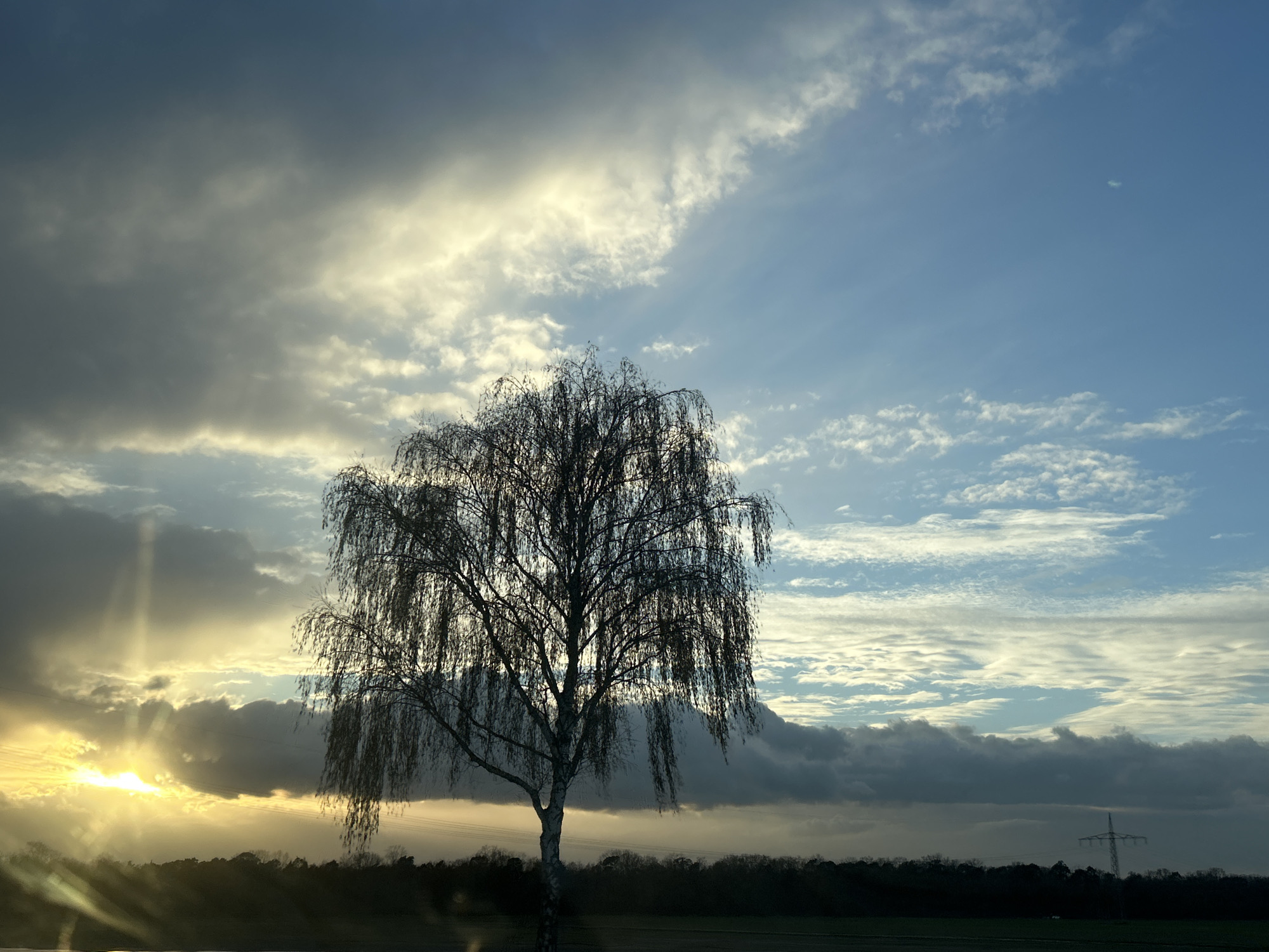 Dramatic sunset scene with tree and clouds near Waldsee