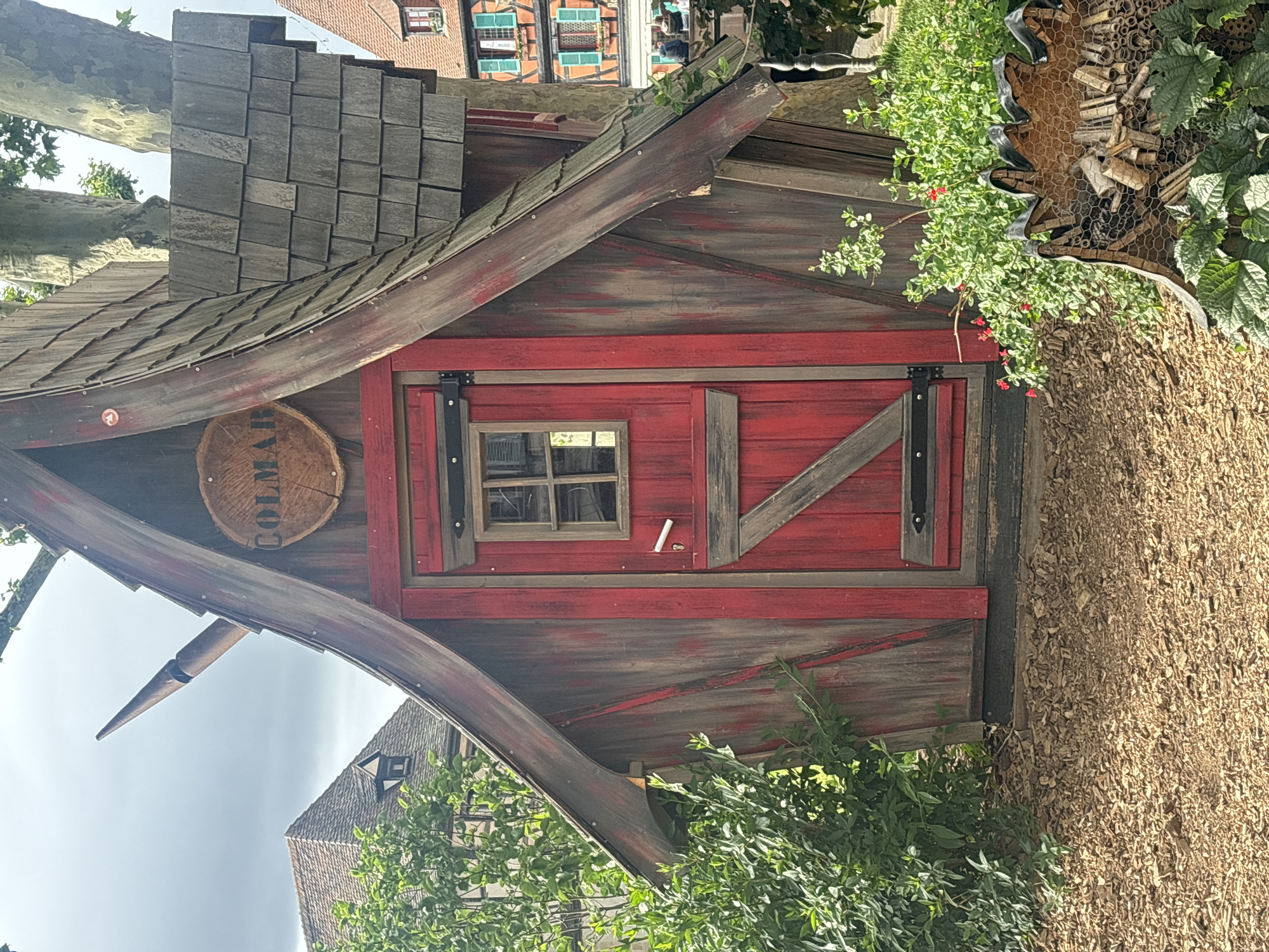 Tourist documents historic Colmar architecture and canals during afternoon walk