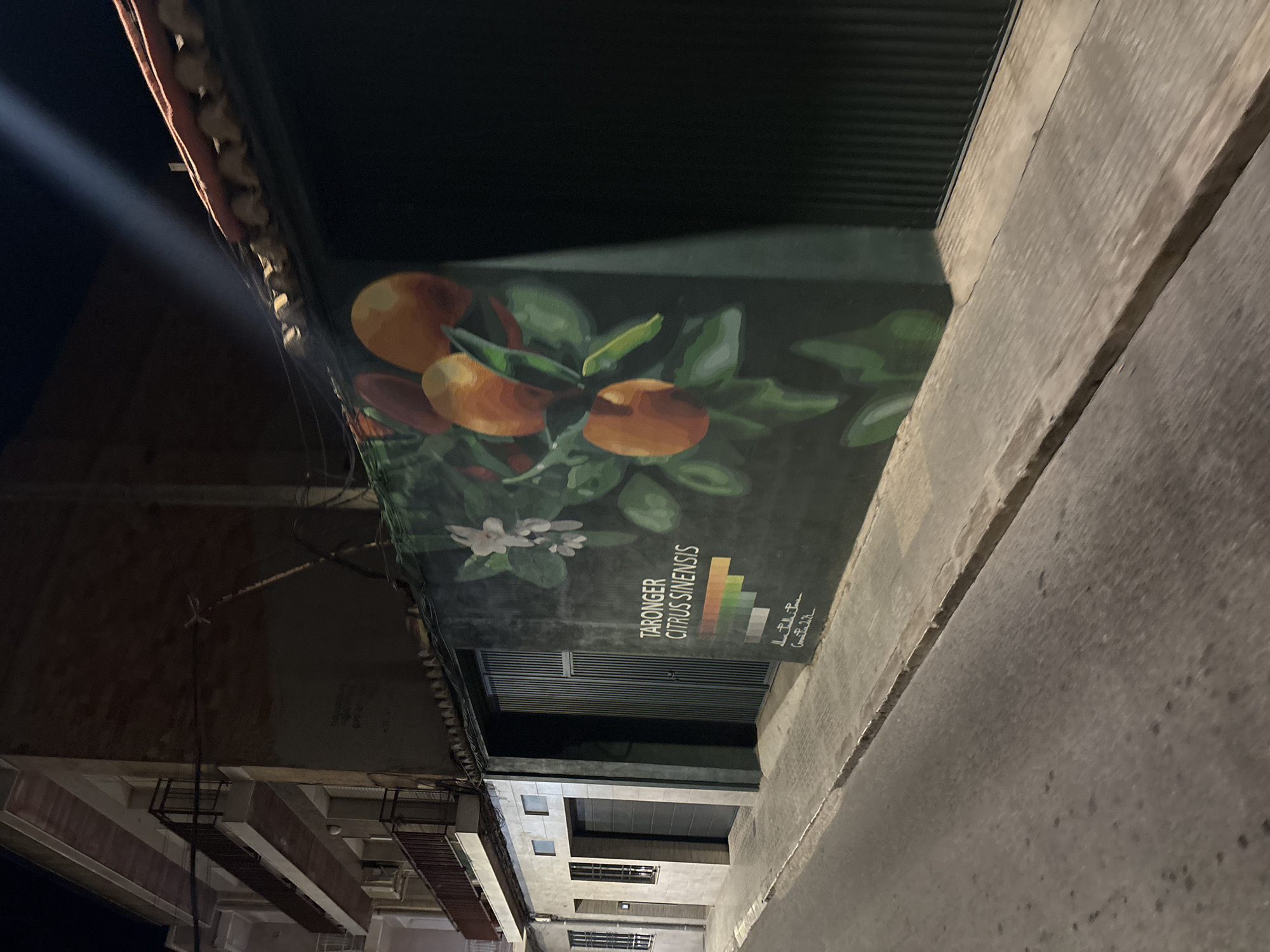 Nighttime streets of Picassent, Spain, citrus murals and warm air