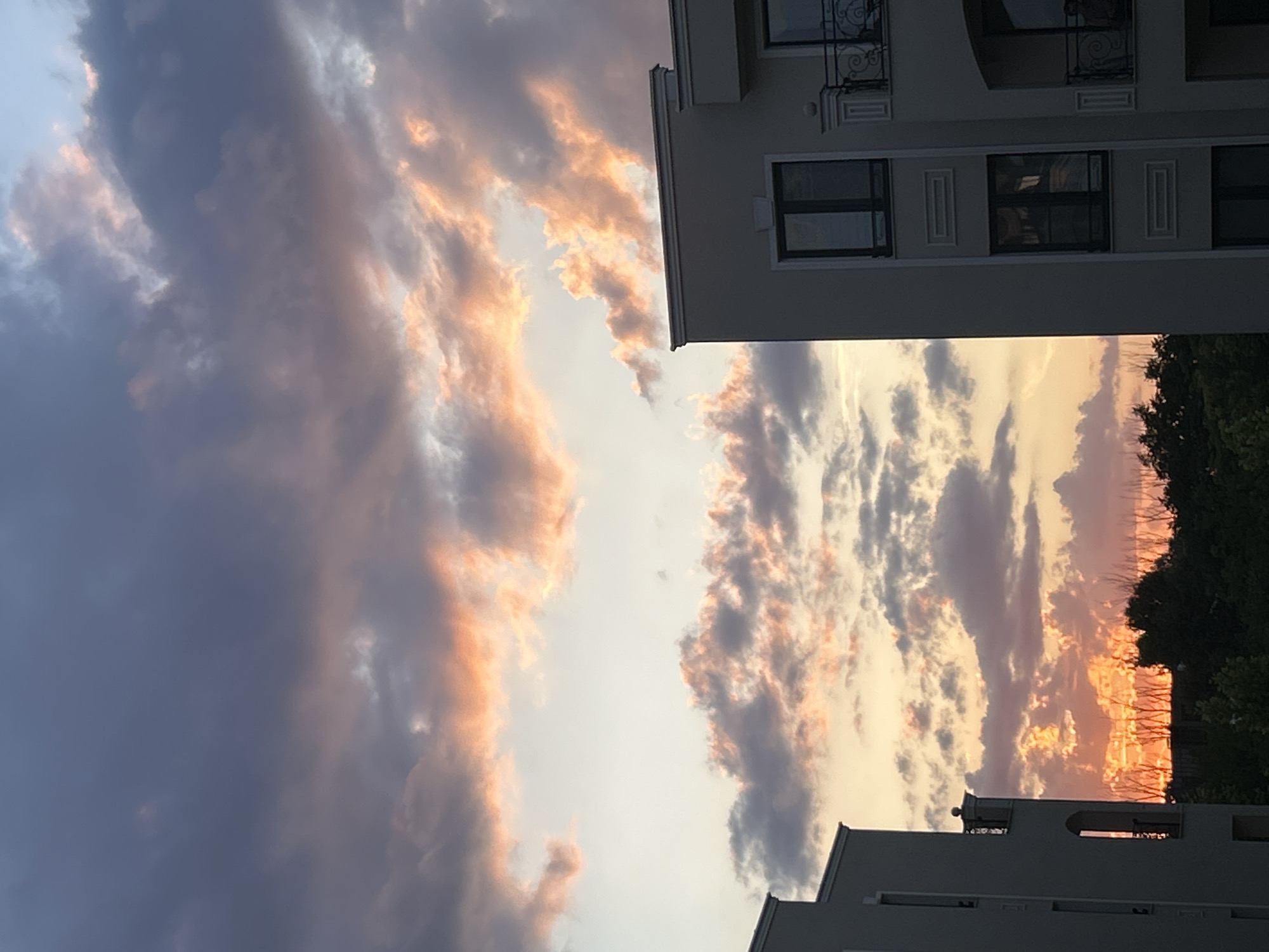 Plovdiv apartment at golden hour: clouds, interiors, and a blooming Kalanchoe